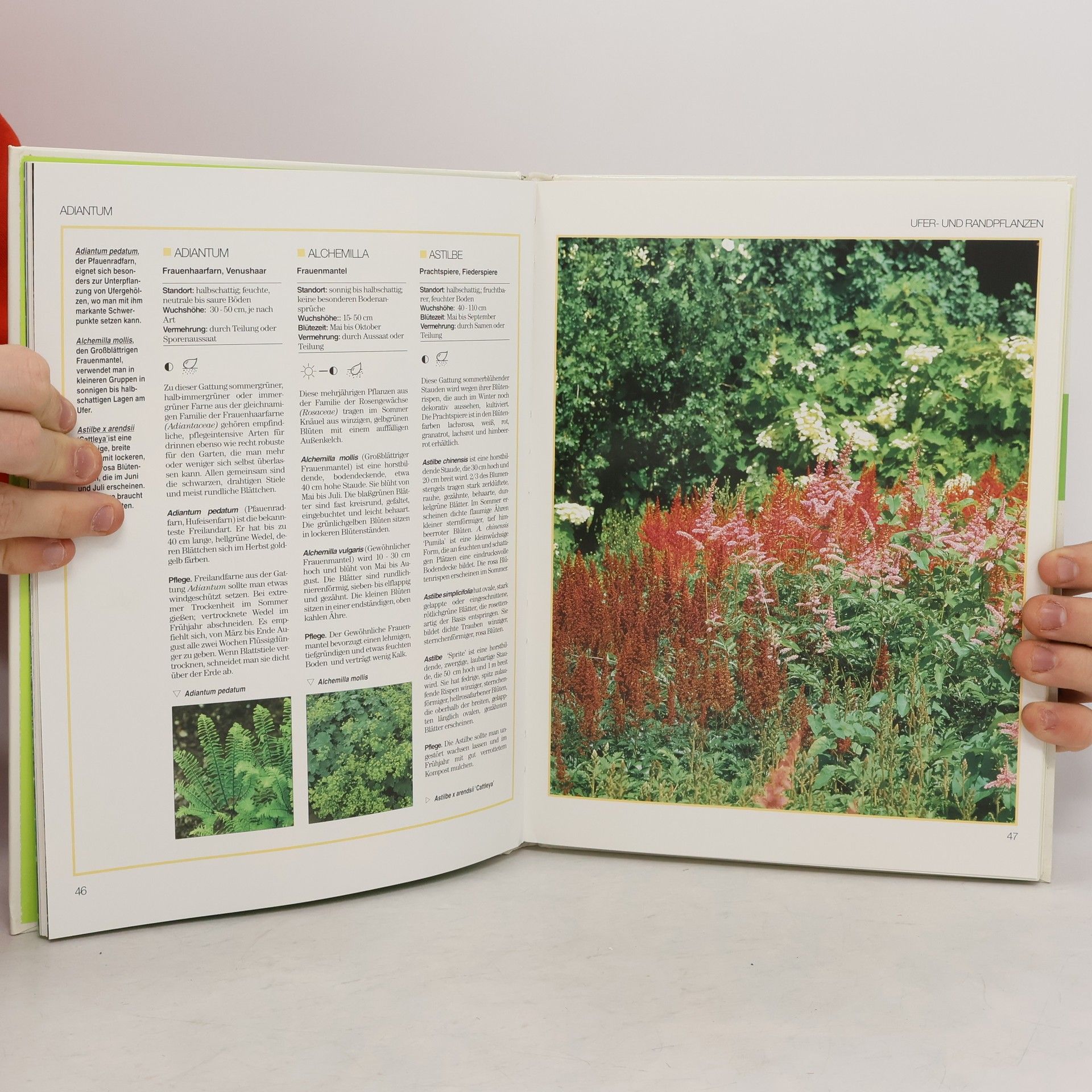 Stefan Längst Blumen & Garten spezial