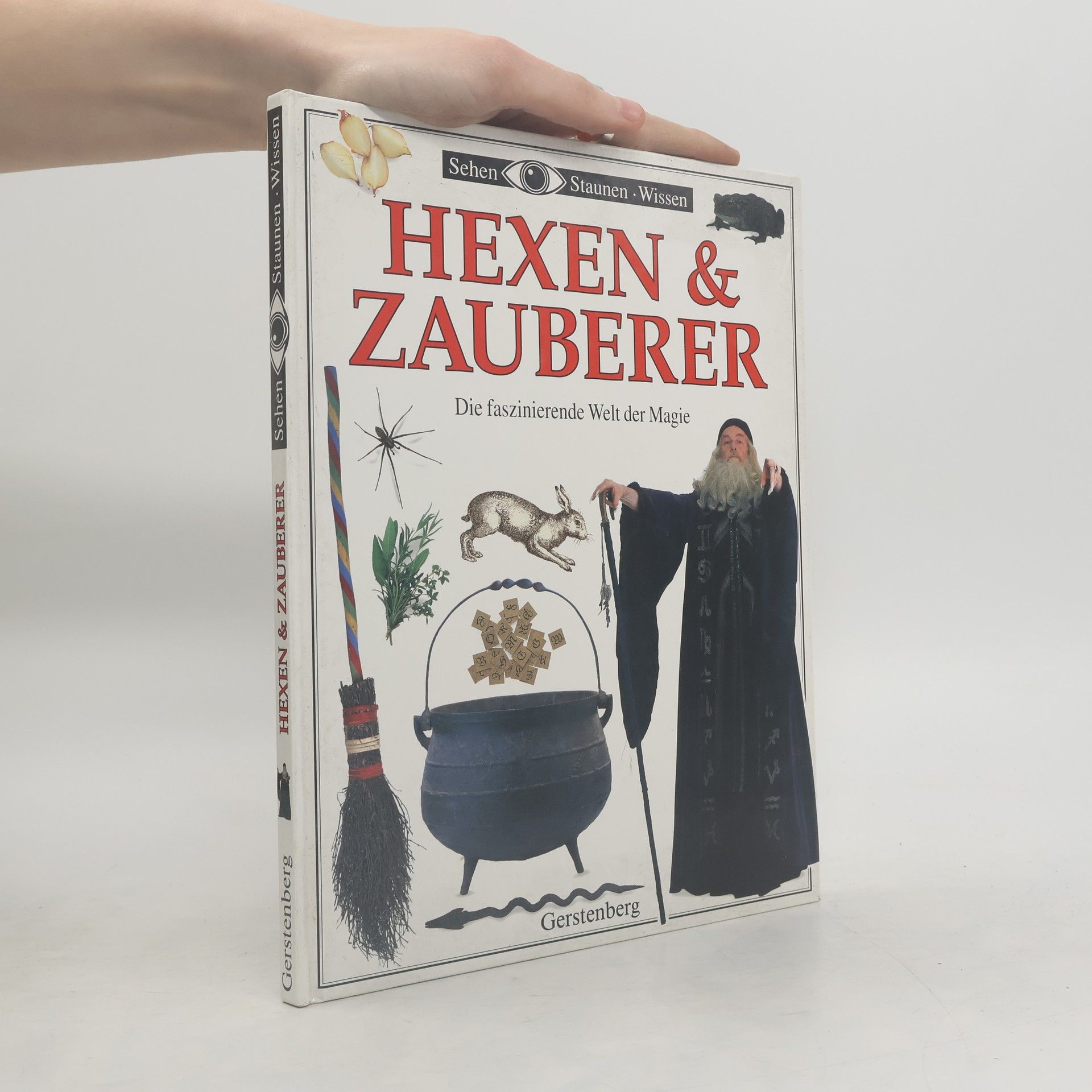 Douglas Hill Hexen & Zauberer