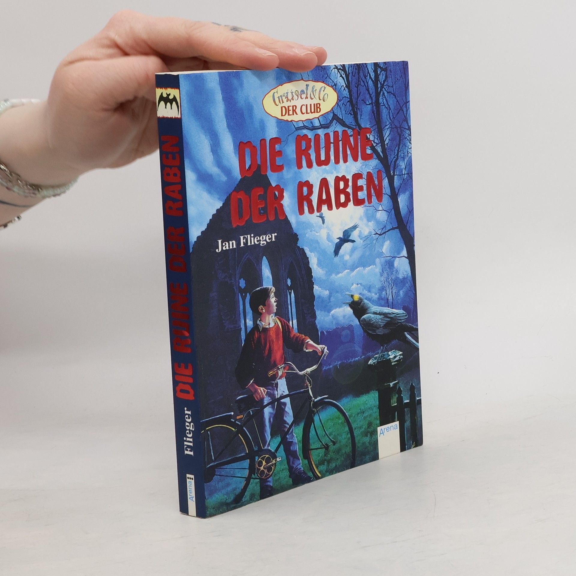 Jan Flieger Die Ruine der Raben