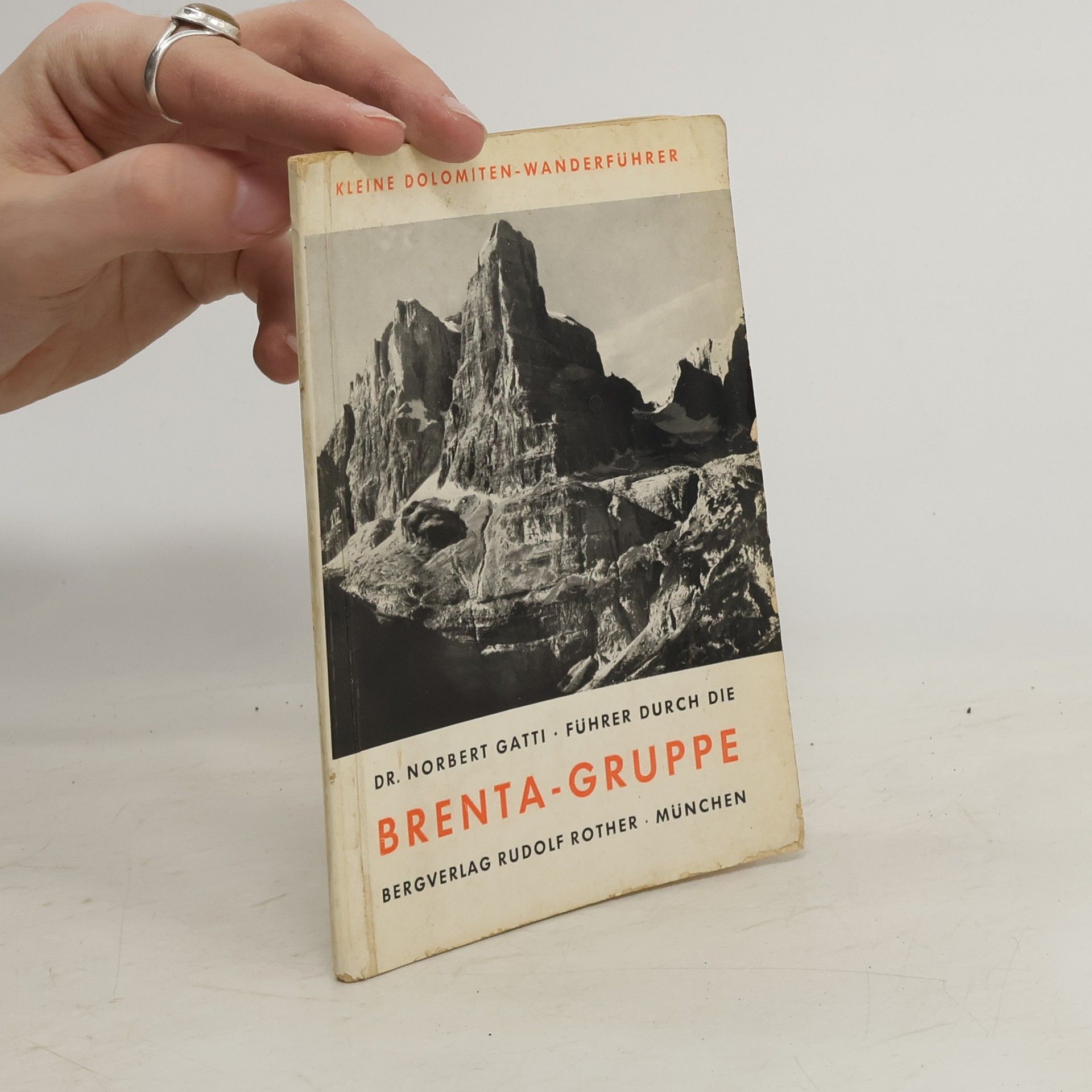 Norbert Gatti Brenta - Gruppe