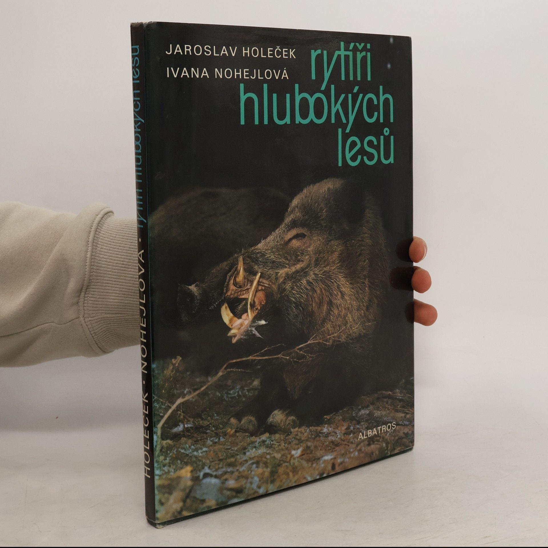 Ivana Nohejlová Rytíři hlubokých lesů
