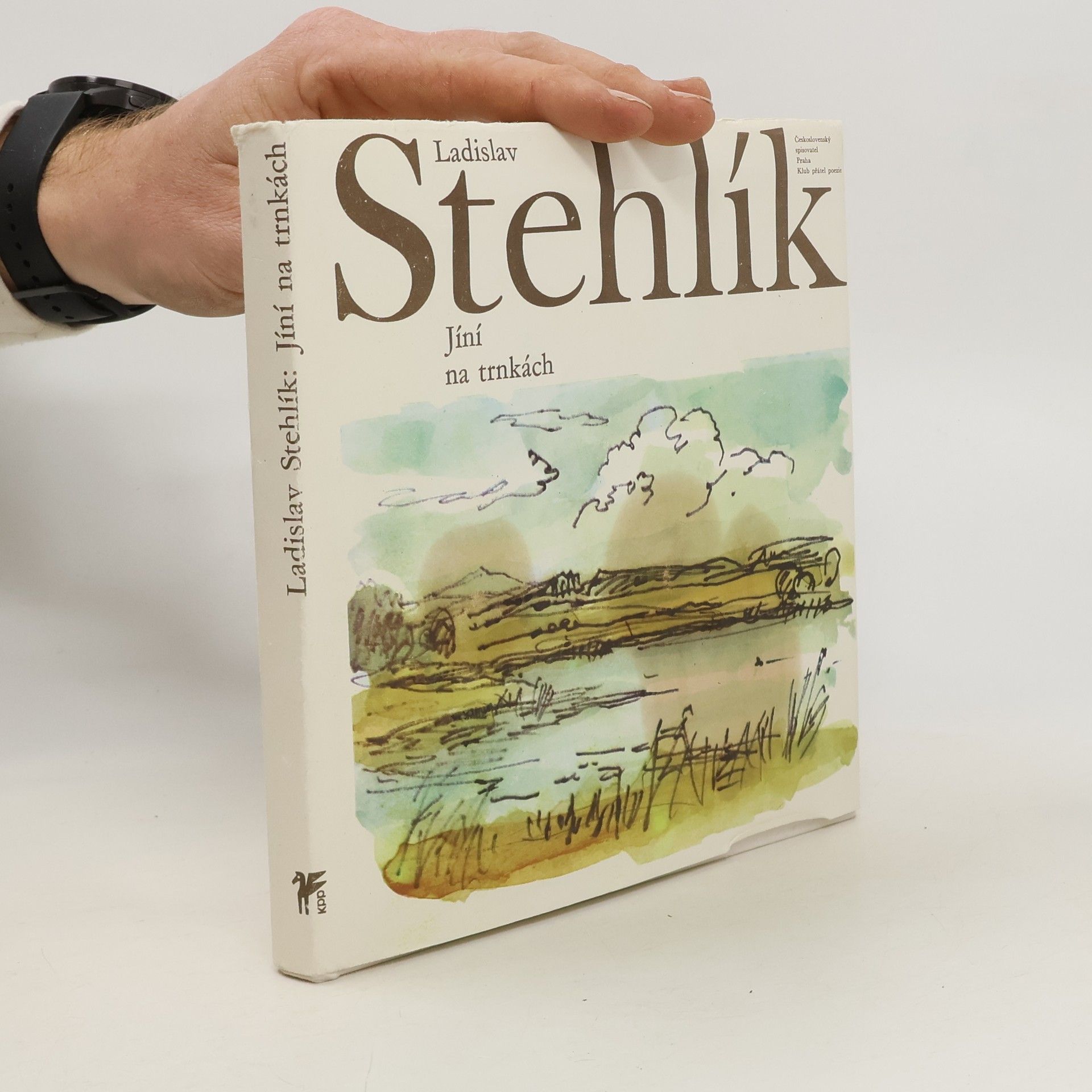 Ladislav Stehlík Jíní na trnkách