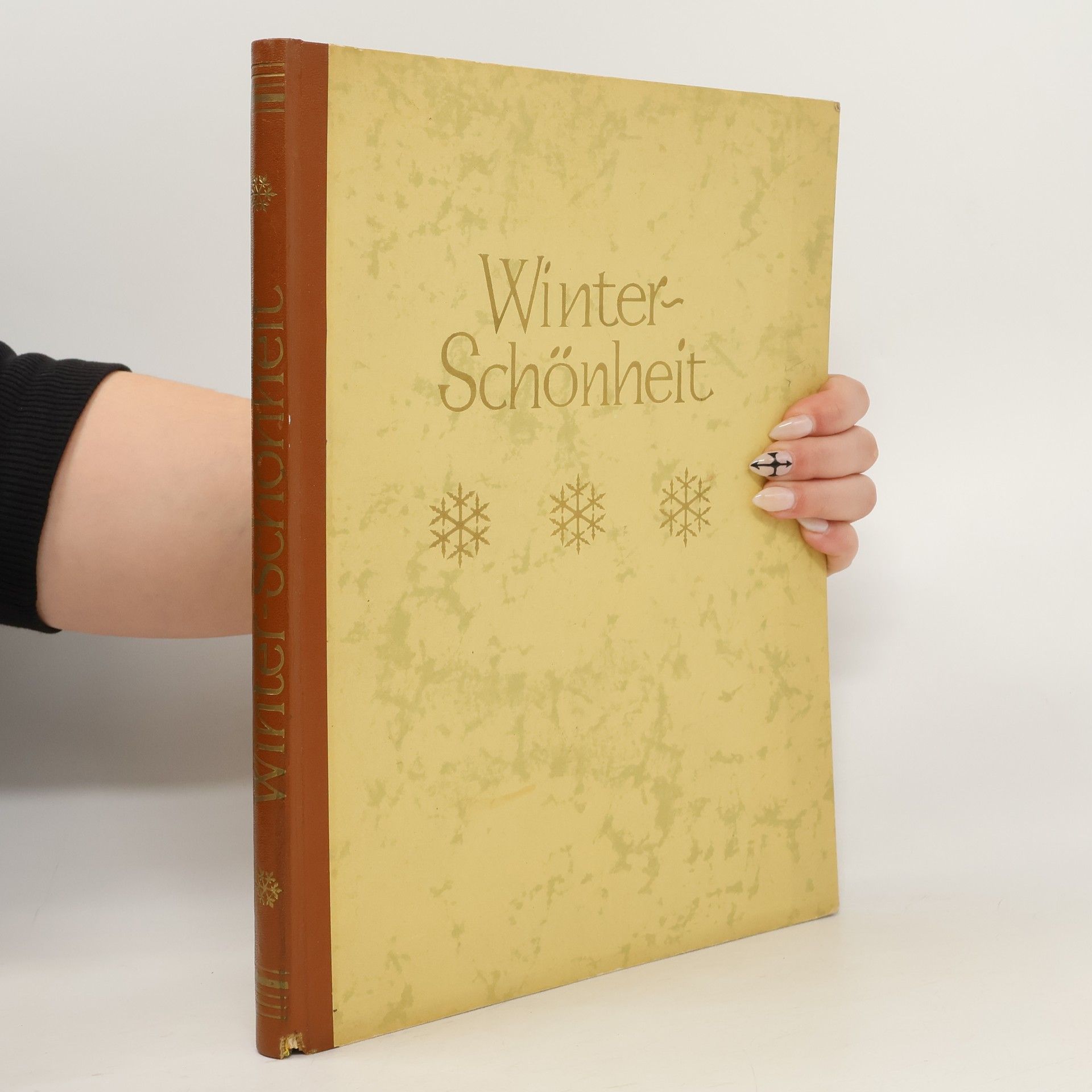 Collectif d'auteurs Winterschönheit