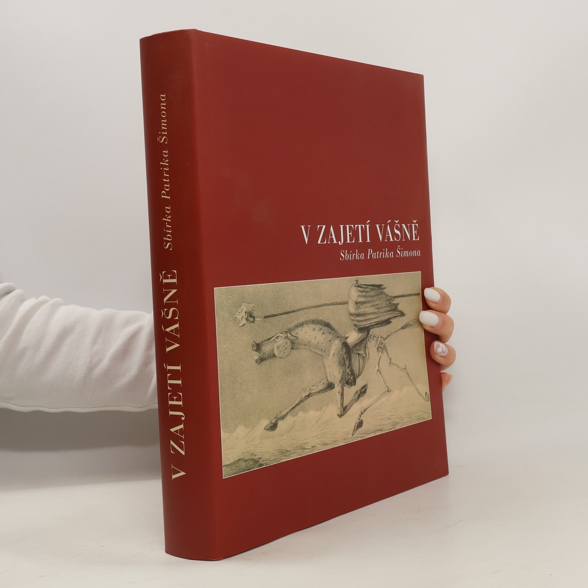 Adam Hnojil V zajetí vášně: Sbírka Patrika Šimona