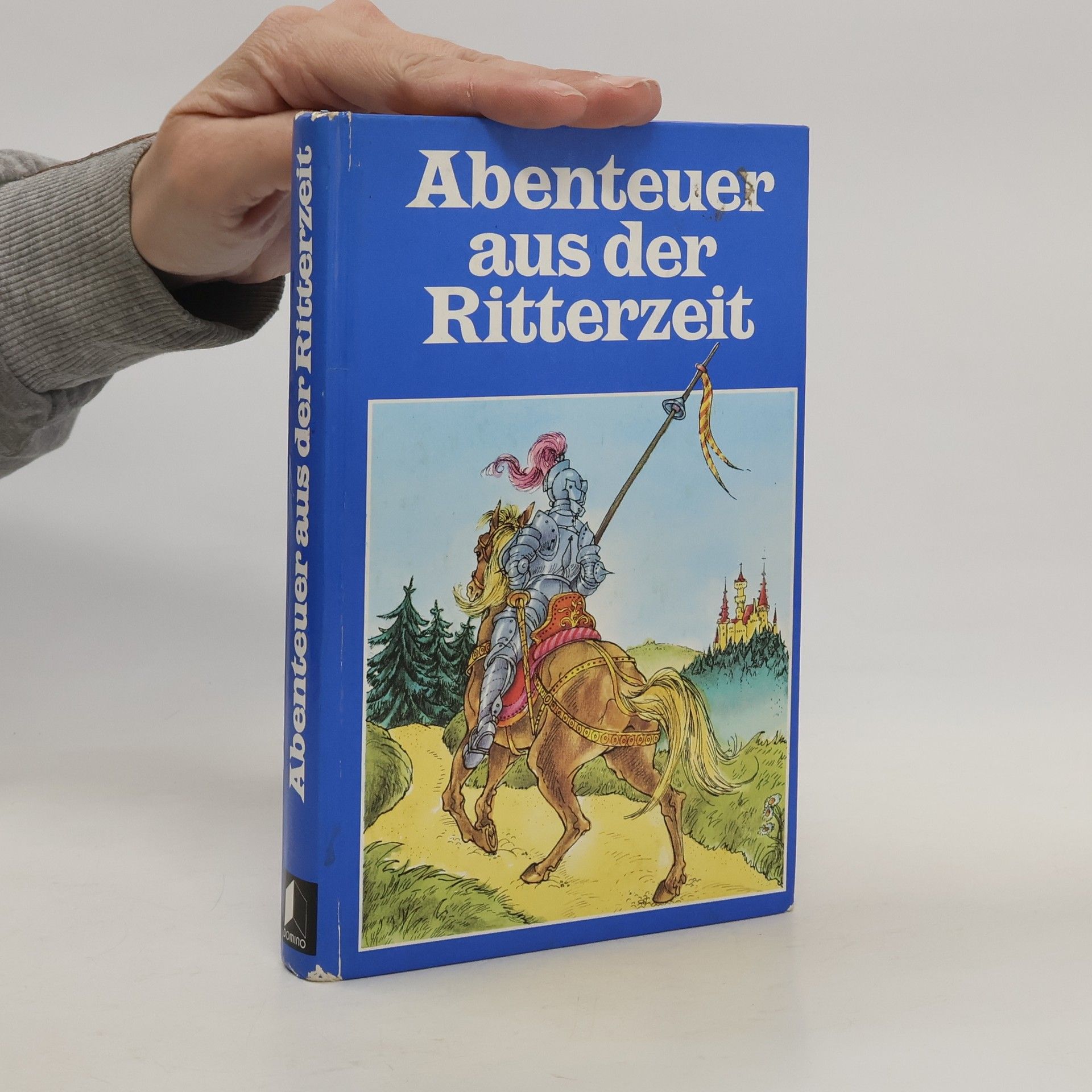 Autorenkollektiv Abenteuer aus der Ritterzeit