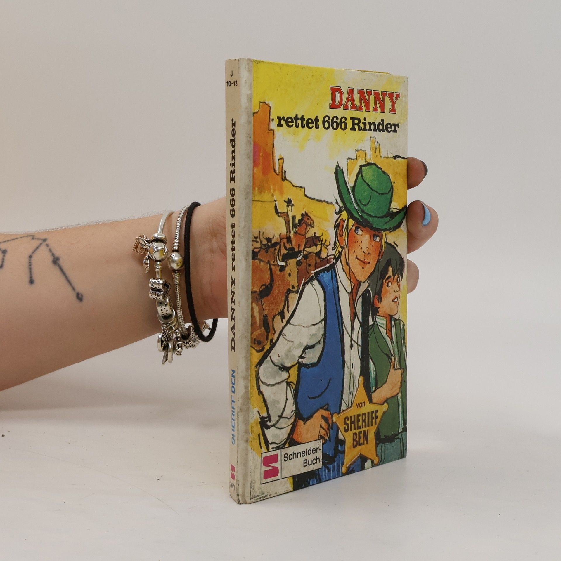 Kolektív autorov Danny rettet 666 Rinder