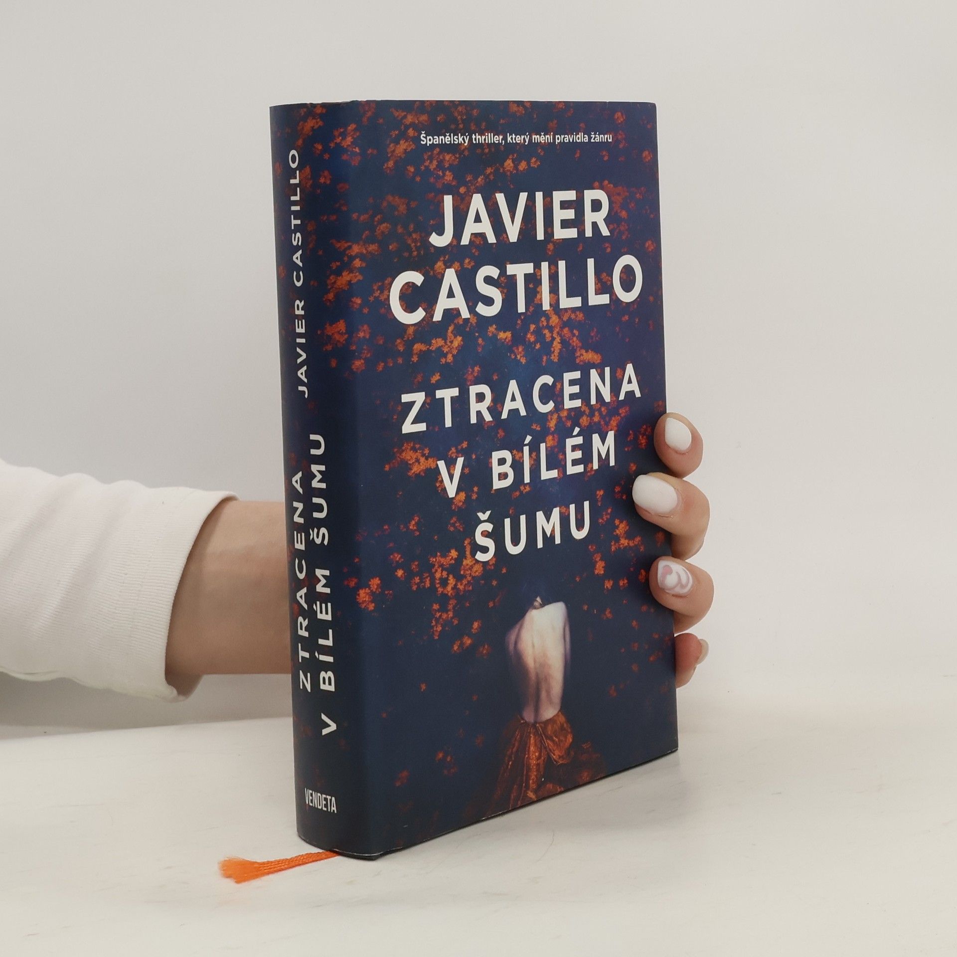 Javier Castillo Ztracena v bílém šumu