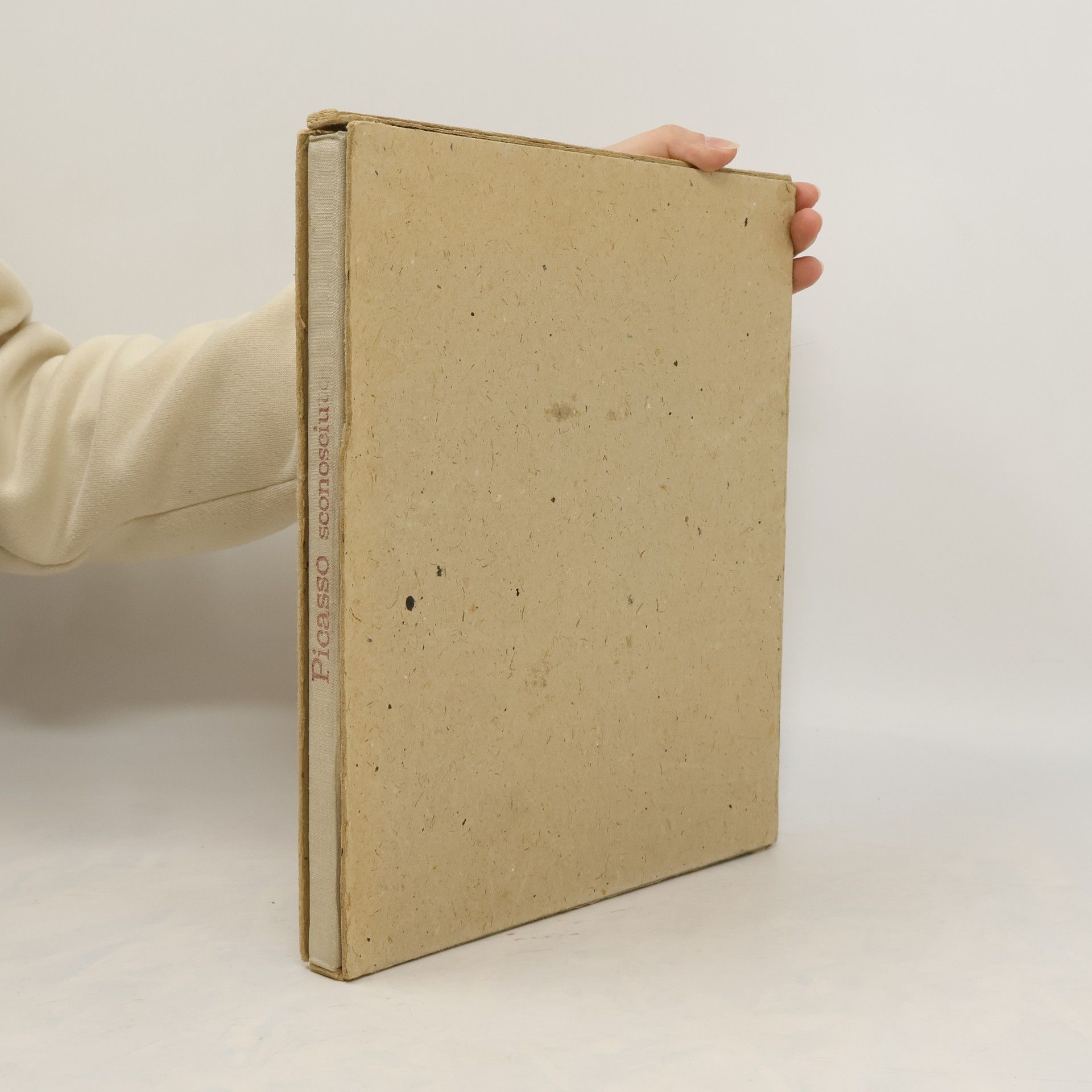 AA.VV. Picasso sconosciuto