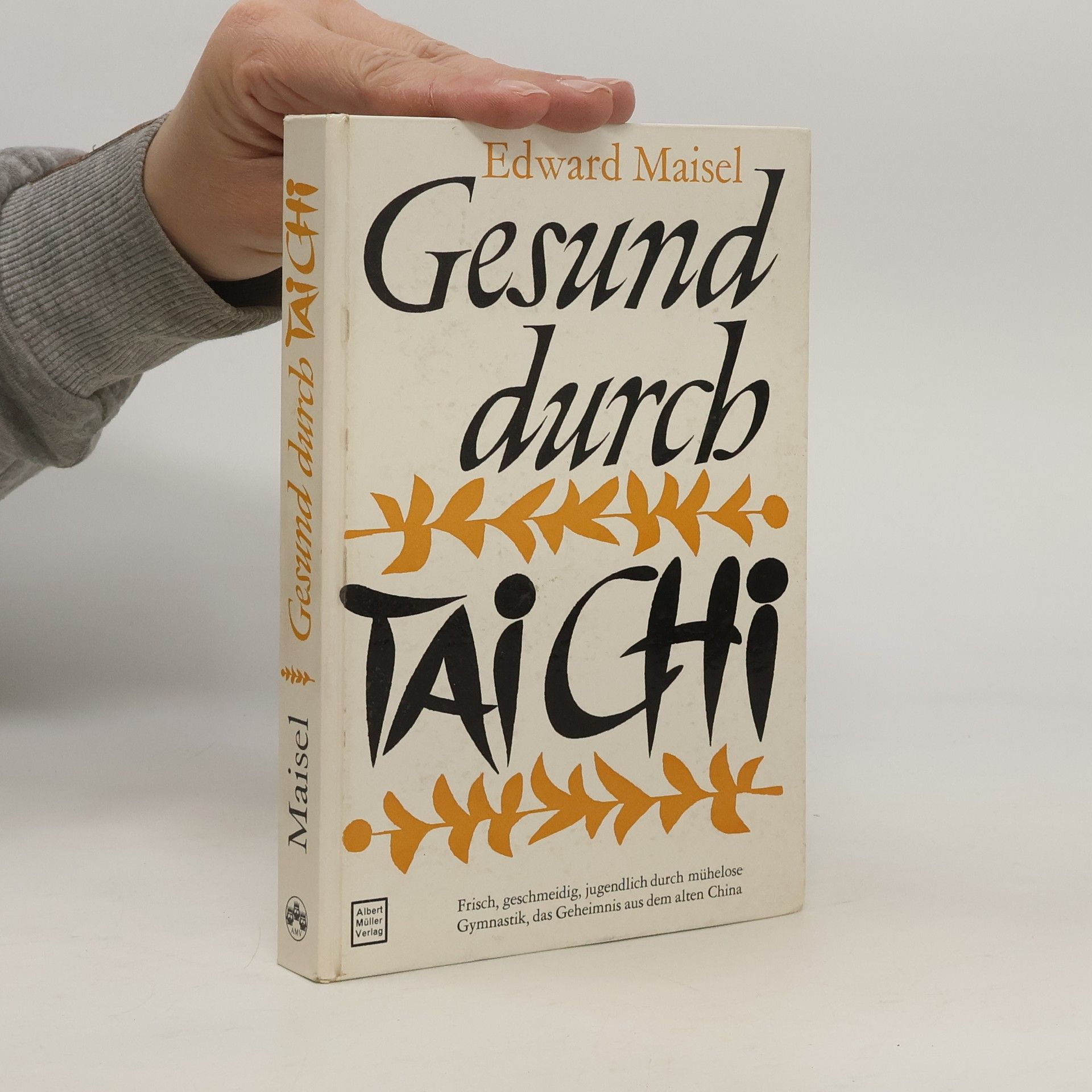 Edward Maisel Gesund durch Tai Chi