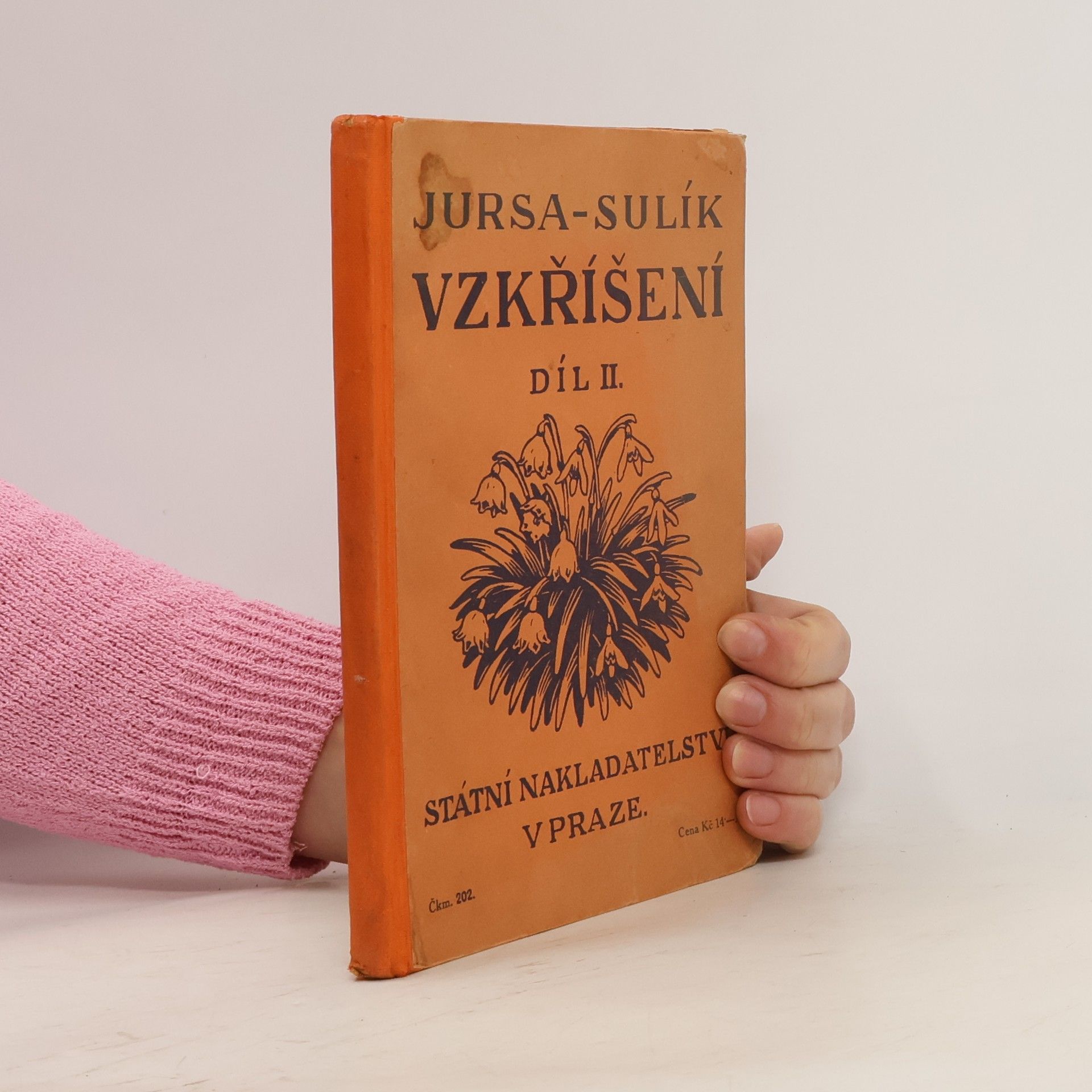 Jan Jursa Vzkříšení II.