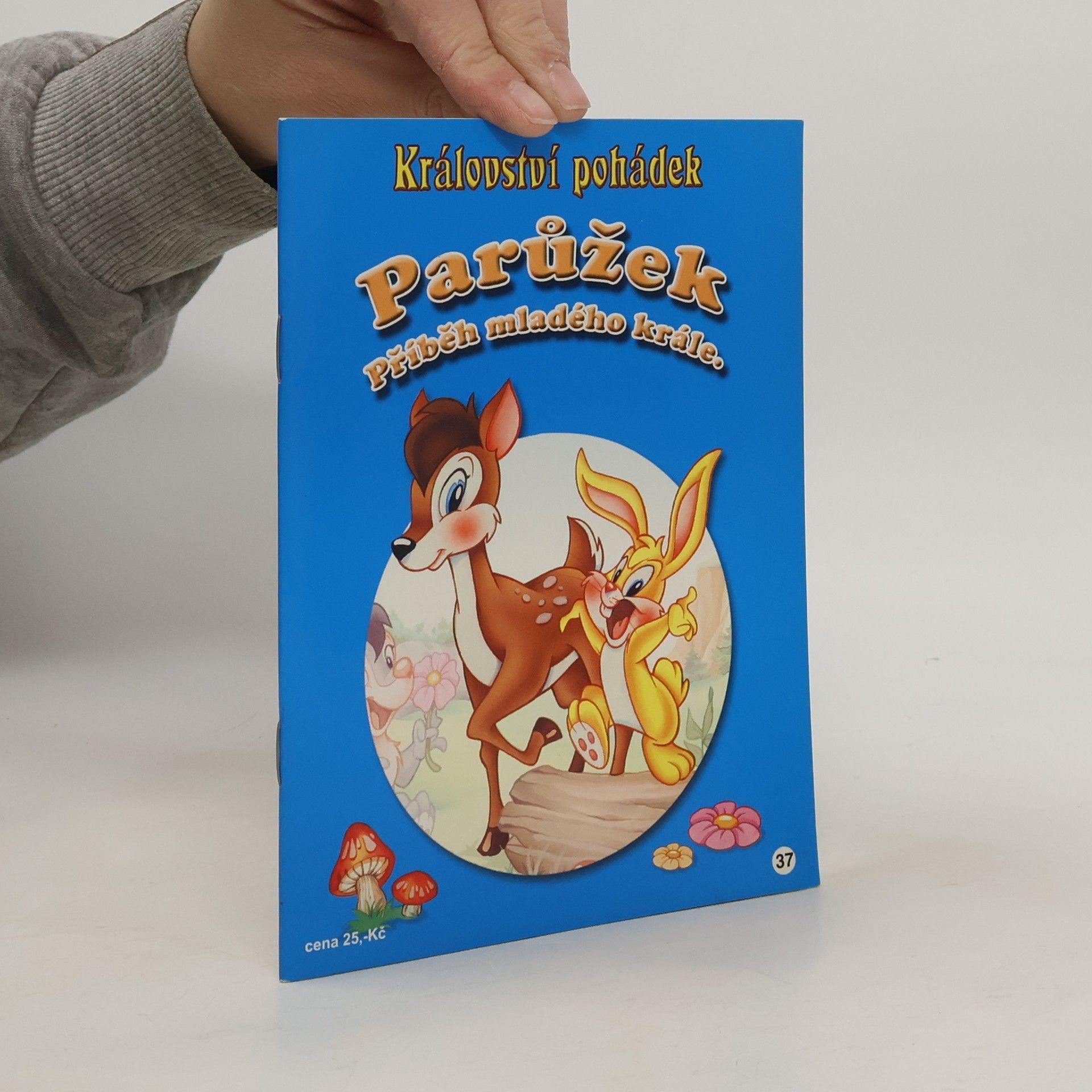 Autorenkollektiv Parůžek. Příběh malého krále.