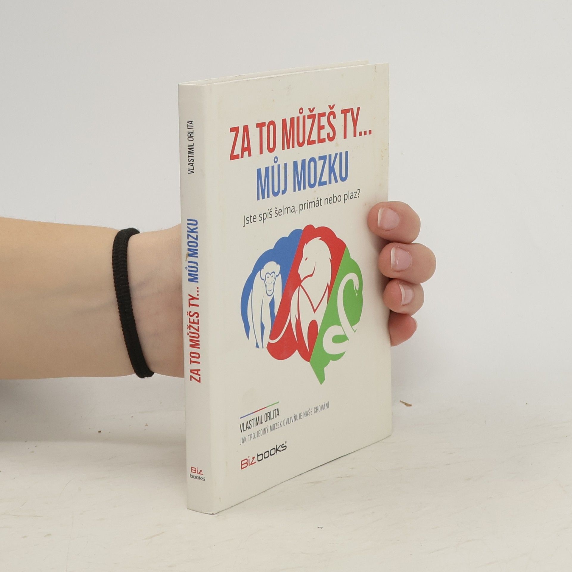 Vlastimil Orlita Za to můžeš ty... můj mozku!