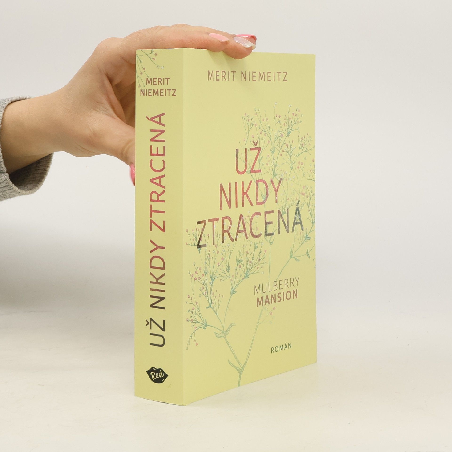Merit Niemeitz Už nikdy ztracená