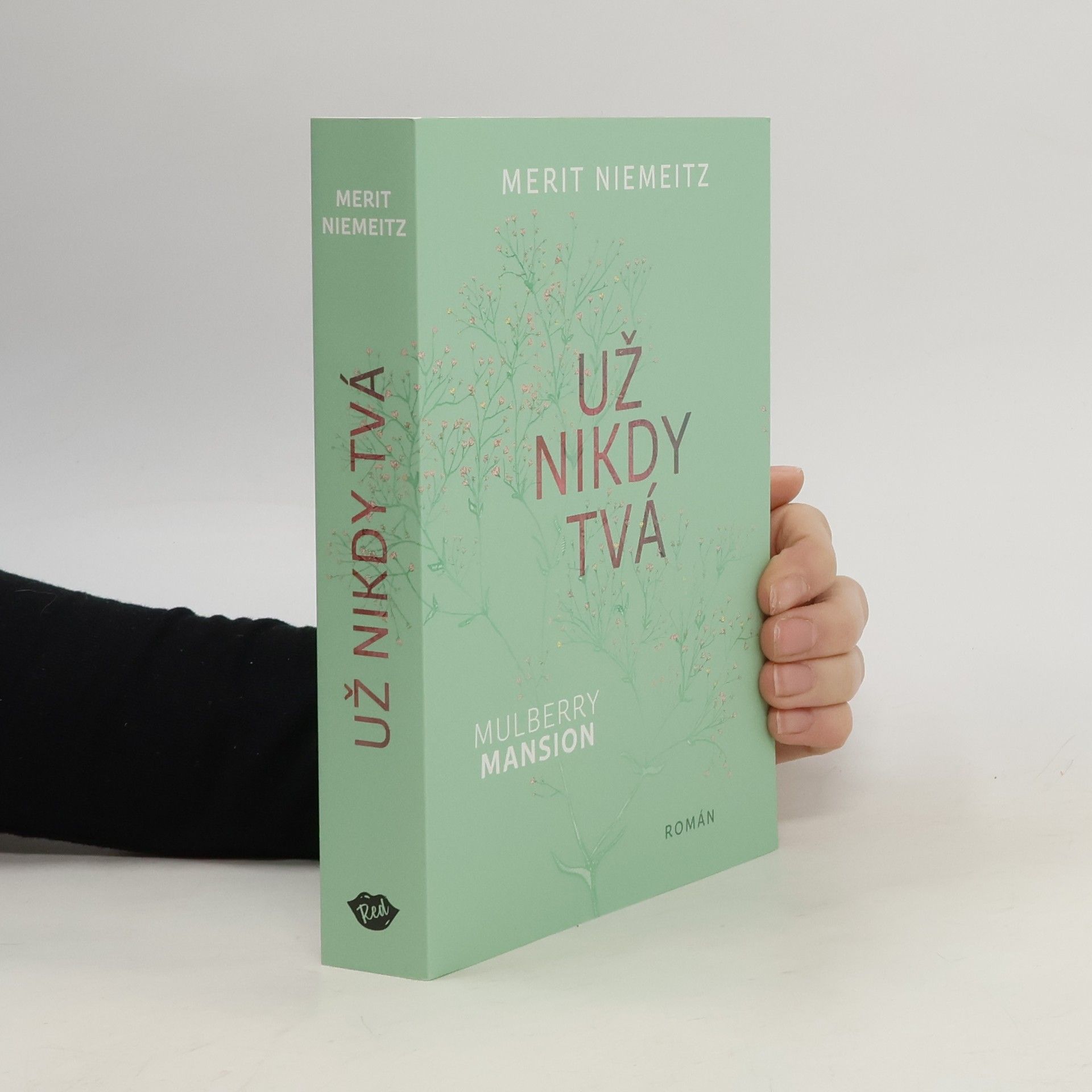 Merit Niemeitz Už nikdy tvá