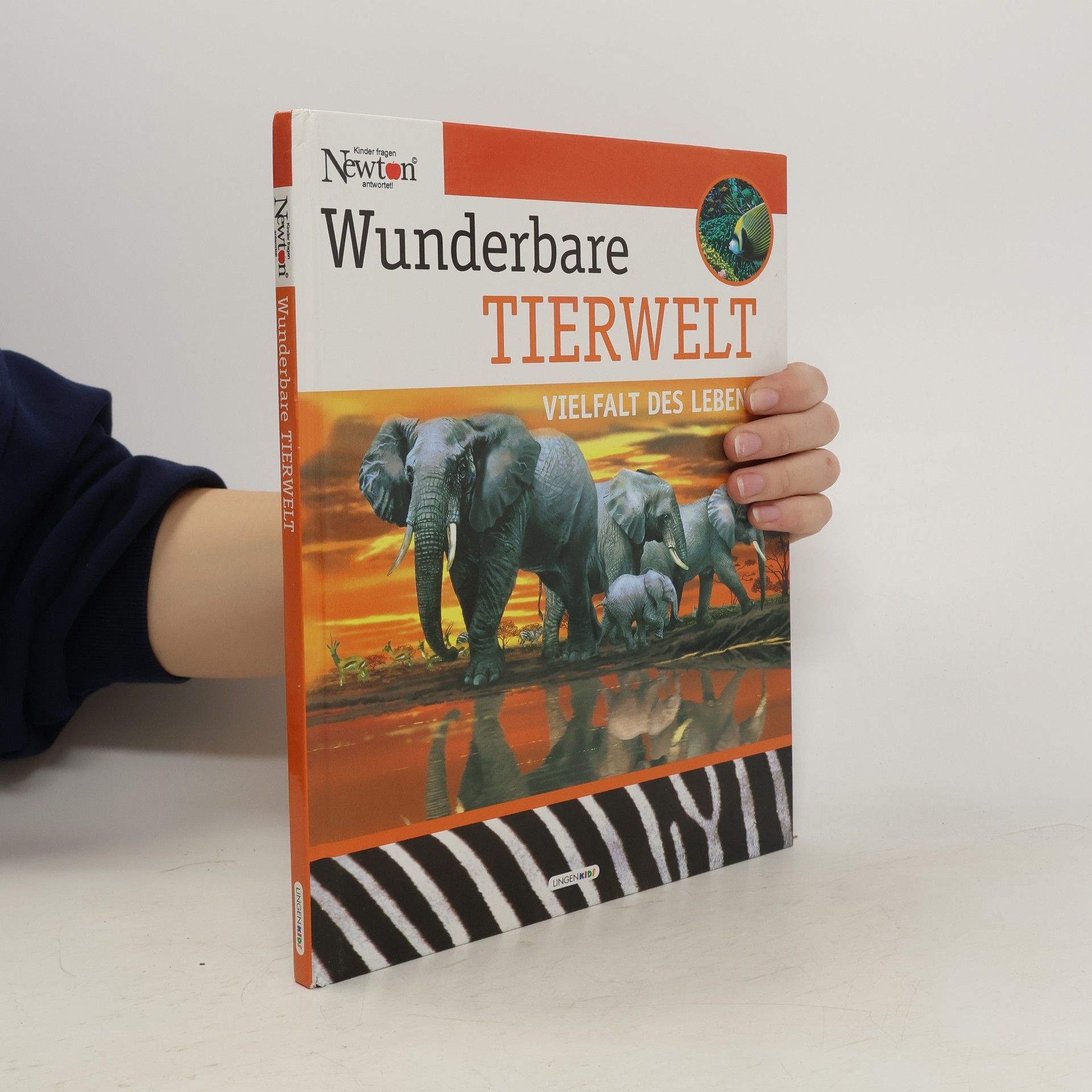 Heinrich Stiefel Wunderbare Tierwelt