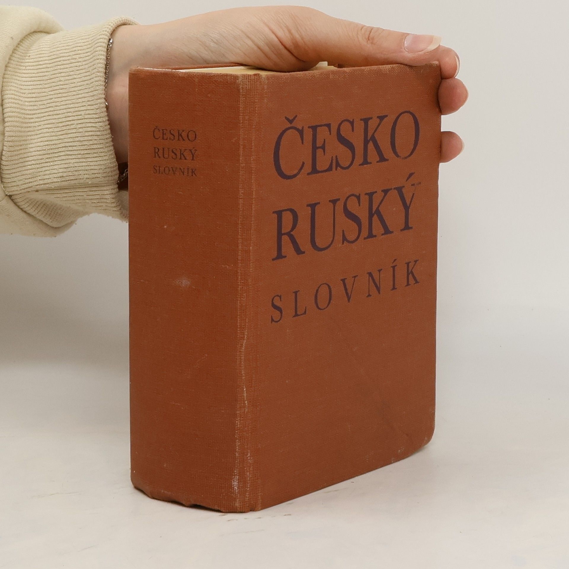 Collectif d'auteurs Česko ruský slovník