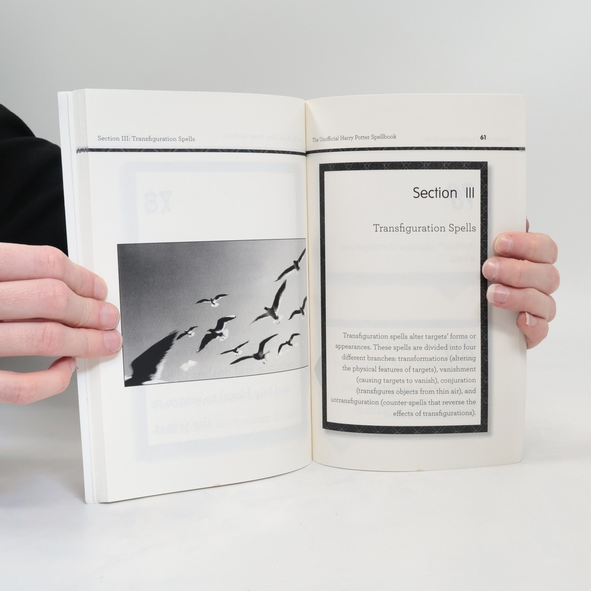 Duncan Levy The Unofficial Harry Potter Spellbook