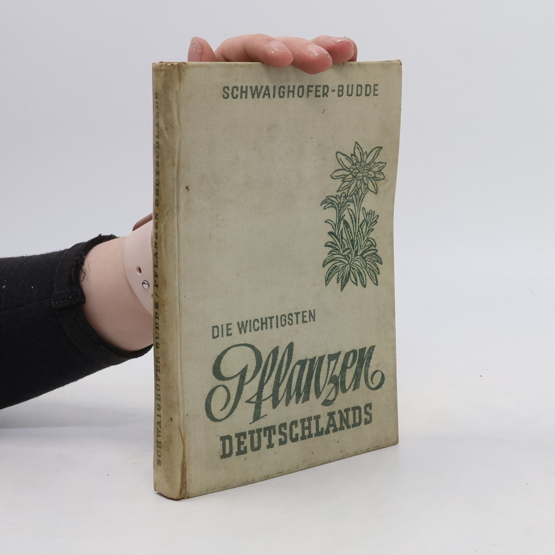 Autorenkollektiv Die wichtigsten Pflanzen Deutschlands