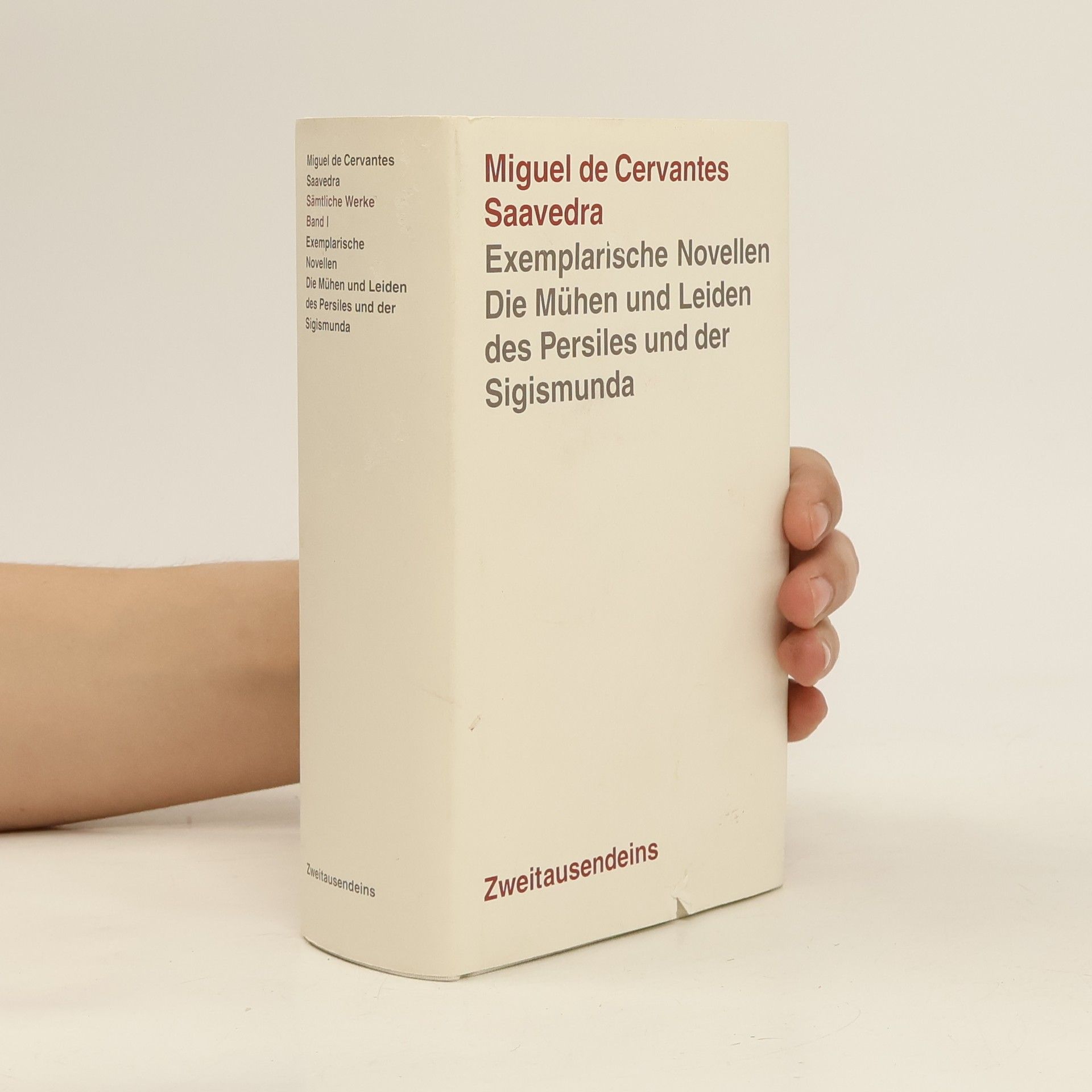 Miguel de Cervantes y Saavedra Exemplarische Novellen. Die Mühen und Leiden des Persiles und der Sigismunda