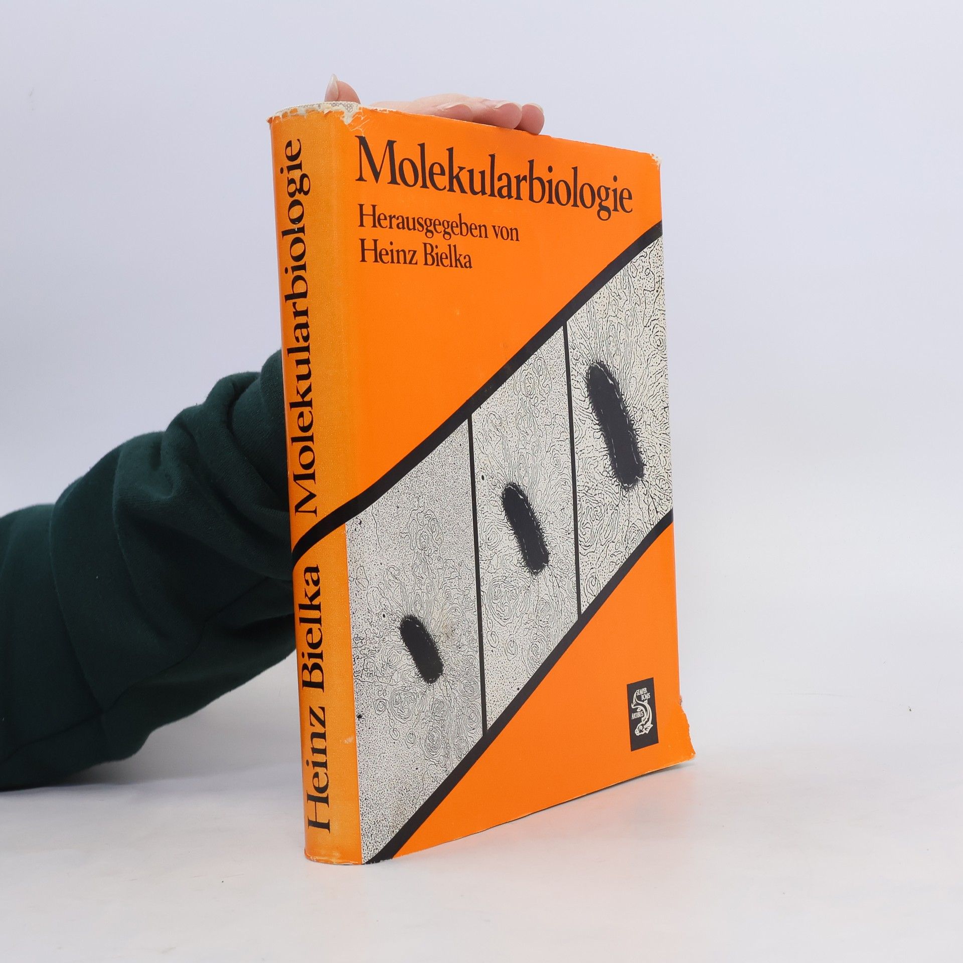 Heinz Bielka Molekularbiologie