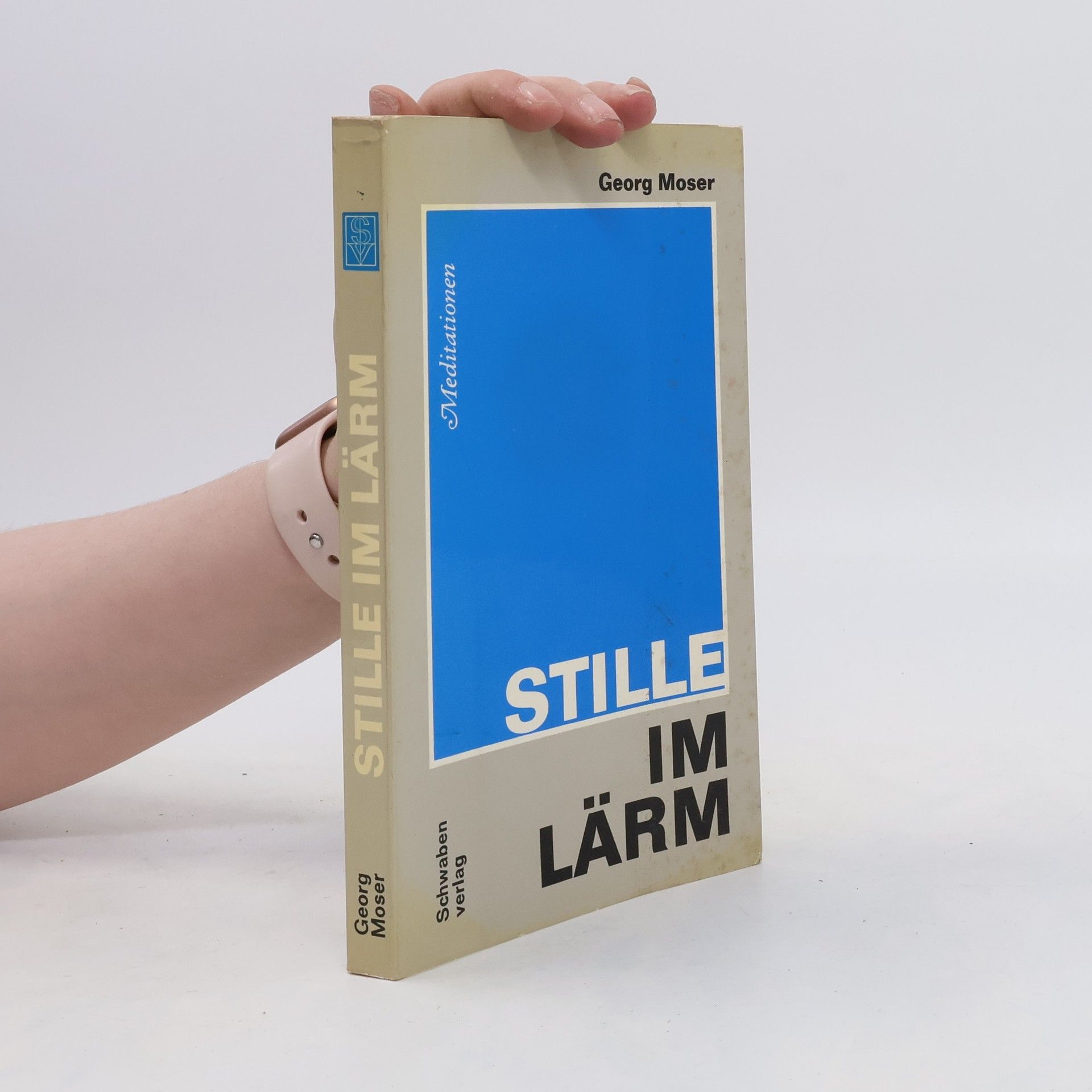 Georg Moser Stille im Lärm