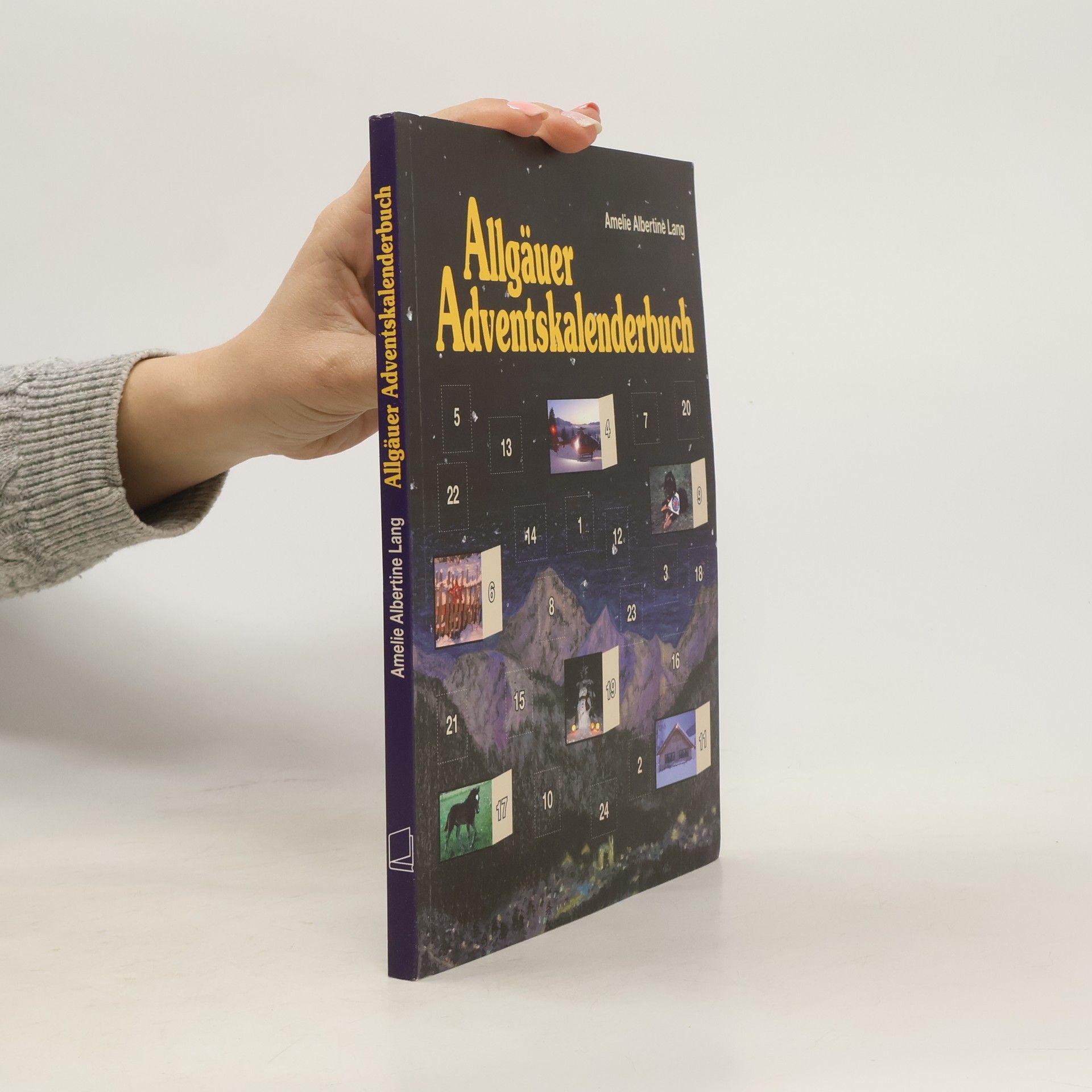 Amelie Albertine Lang Allgäuer Adventskalenderbuch