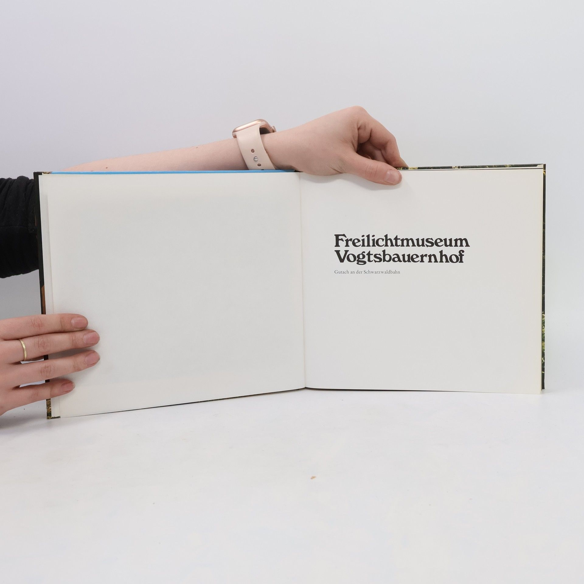Autorenkollektiv Freilichtmuseum Vogtsbauernhof
