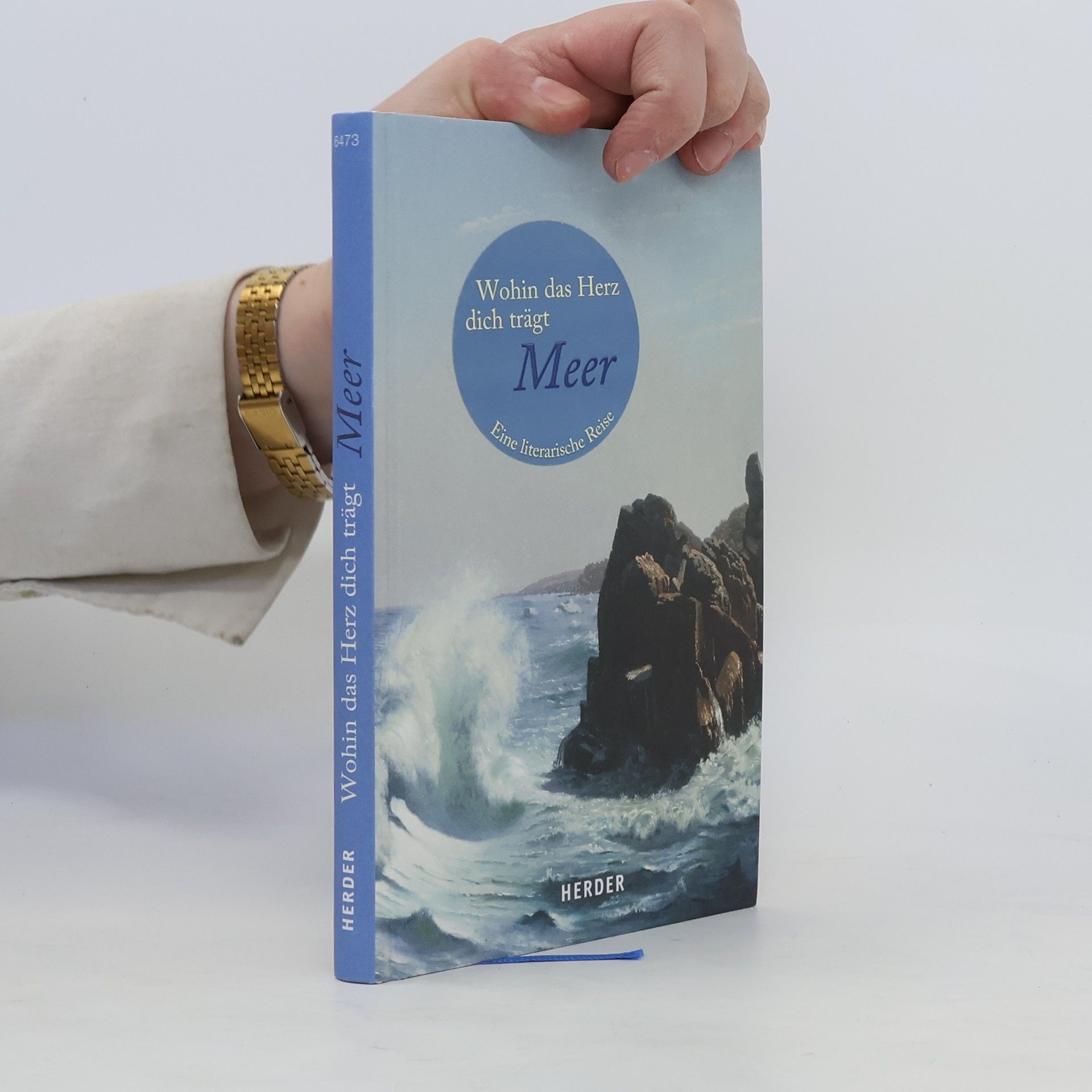 Liane Dirks Wohin das Herz dich trägt - Meer