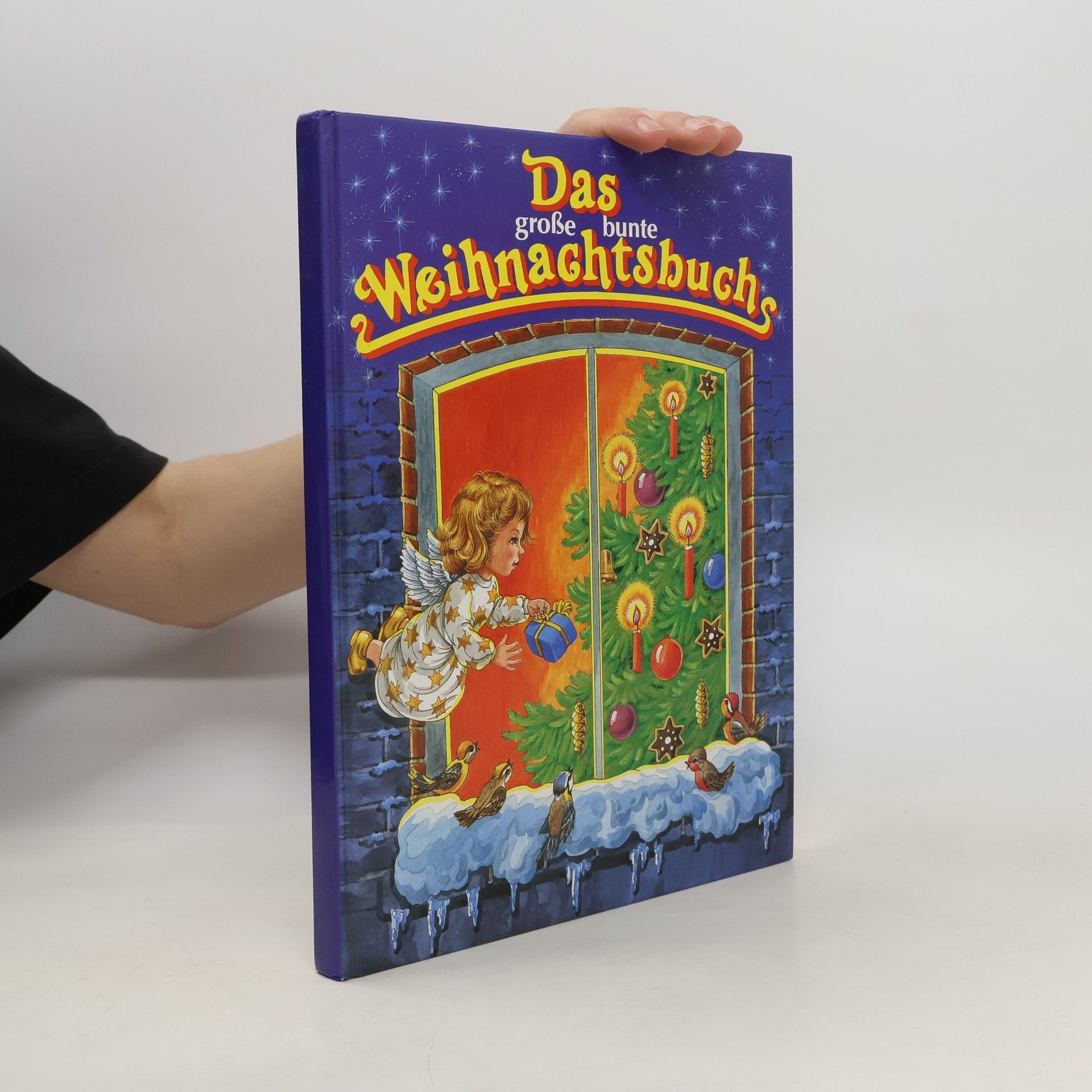 Marc-Heinrich Busse Das große bunte Weihnachtsbuch