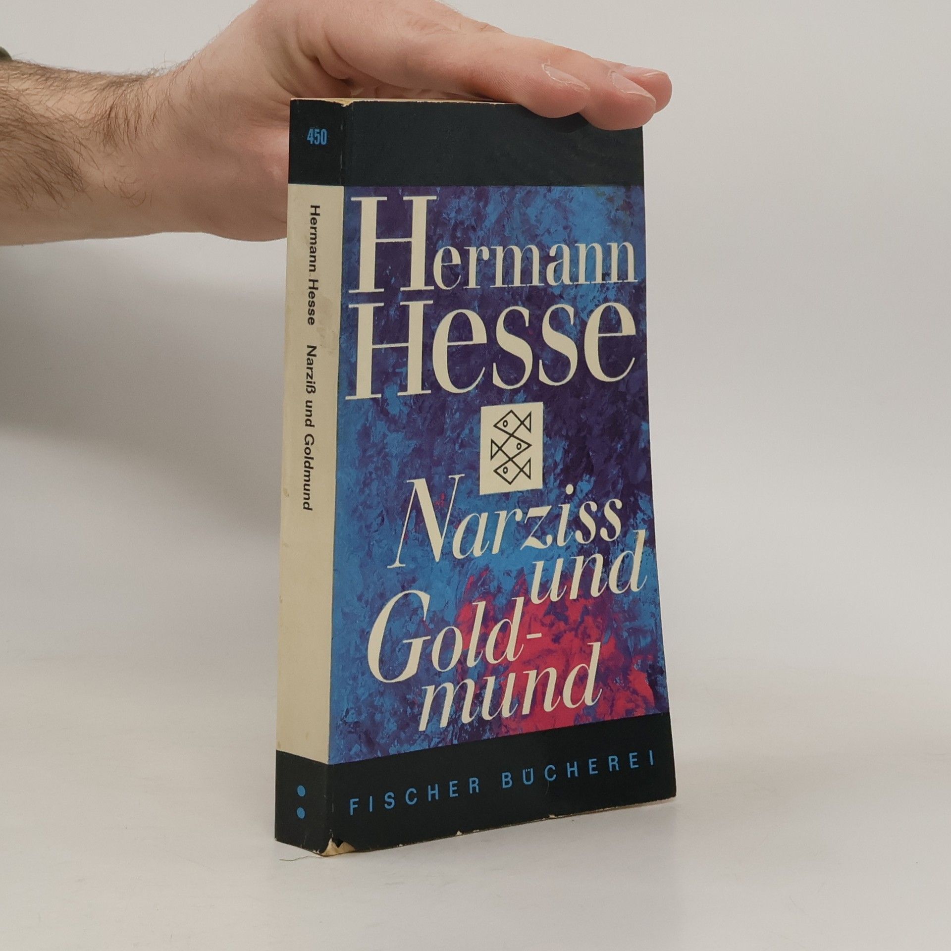 Hermann Hesse Narziss und Goldmund