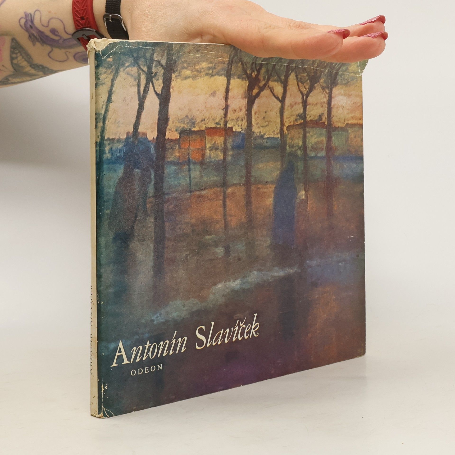 Jan Marius Tomeš Antonín Slavíček