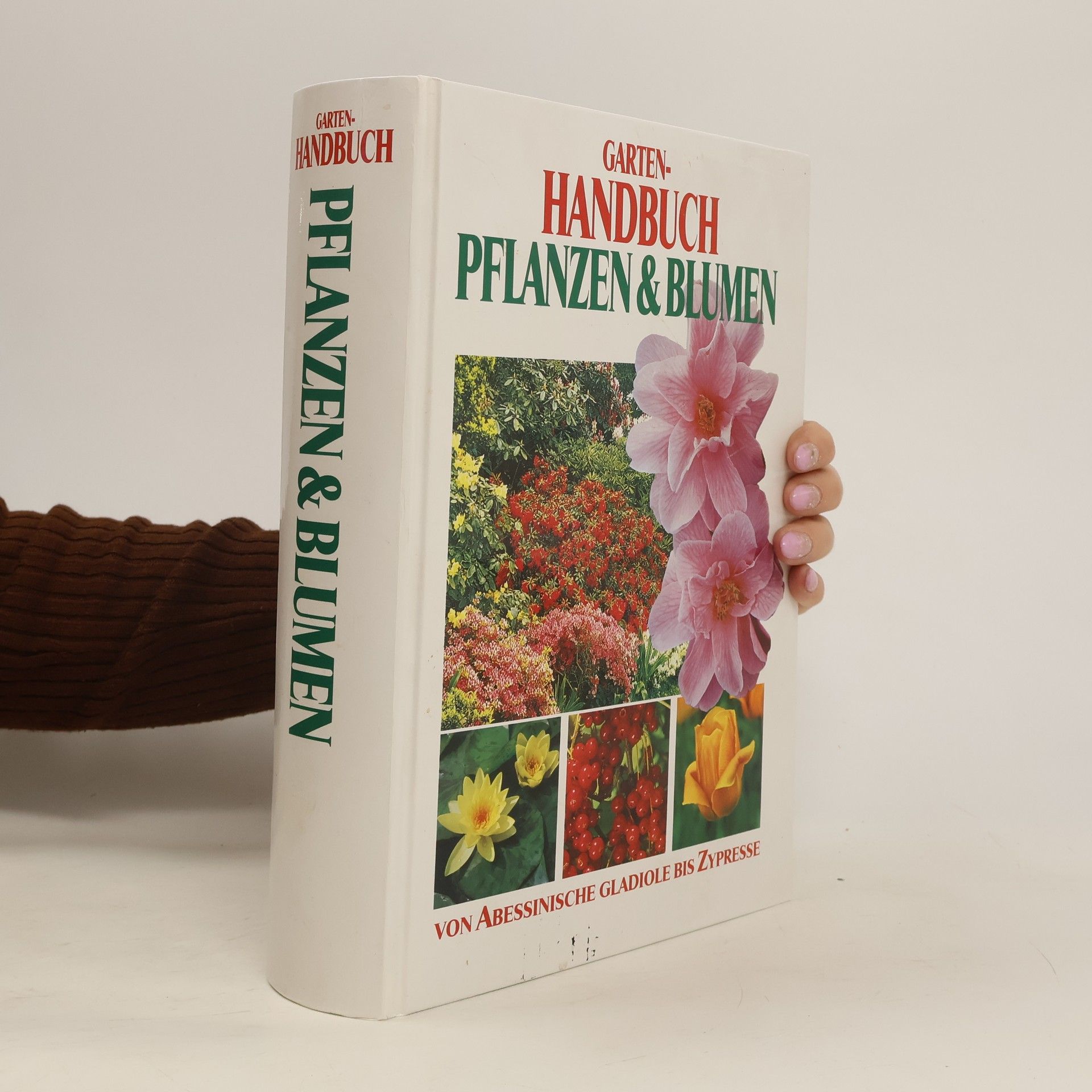 Autorenkollektiv Garten-Handbuch Pflanzen & Blumen