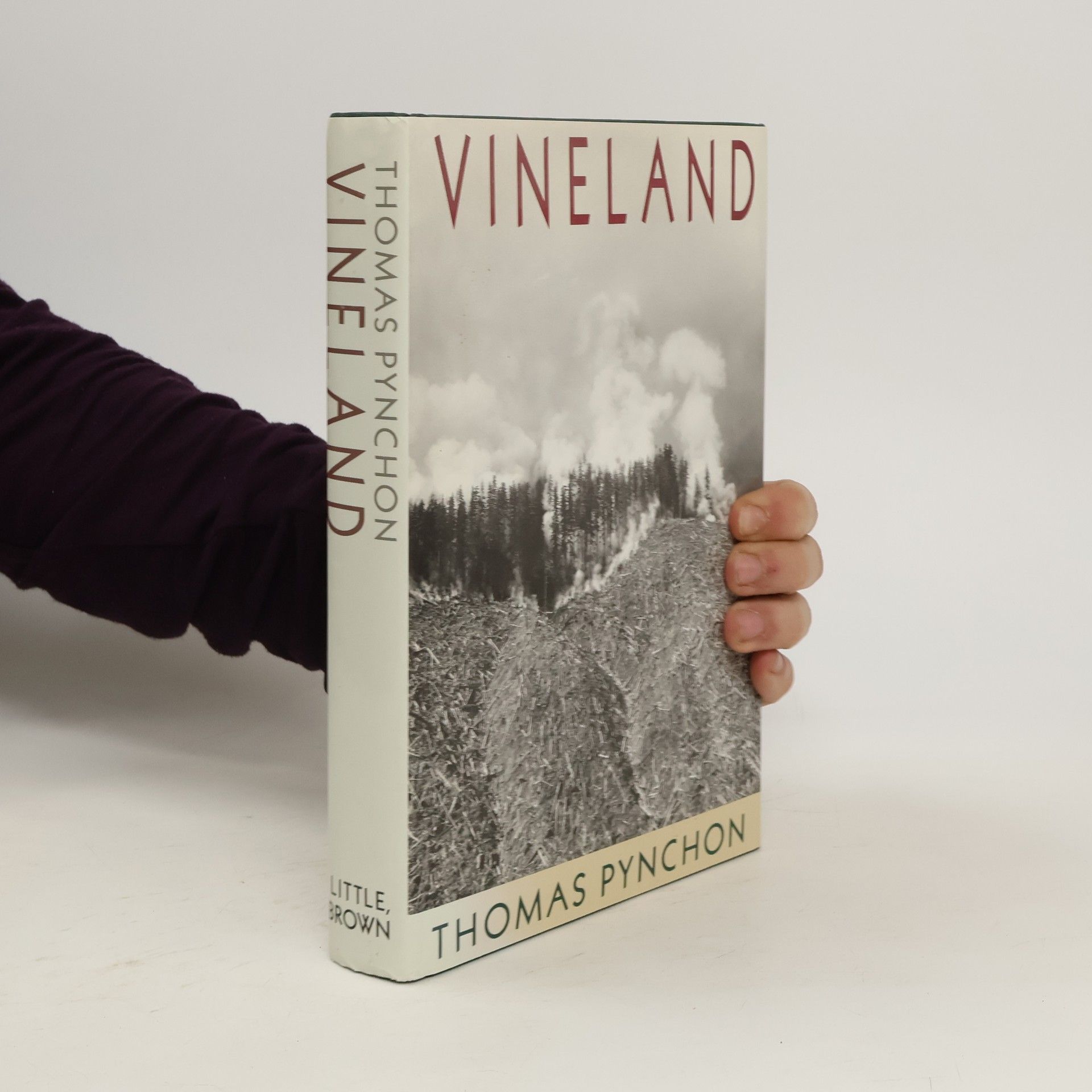 Thomas Pynchon Vineland