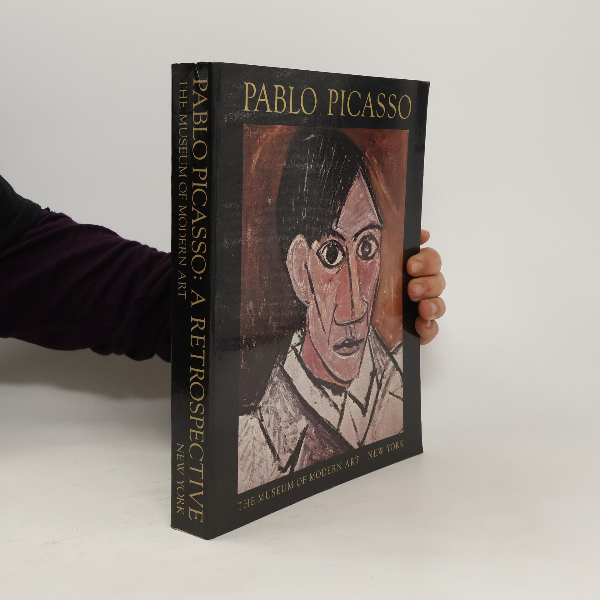 Pablo Picasso Pablo Picasso : a retrospective