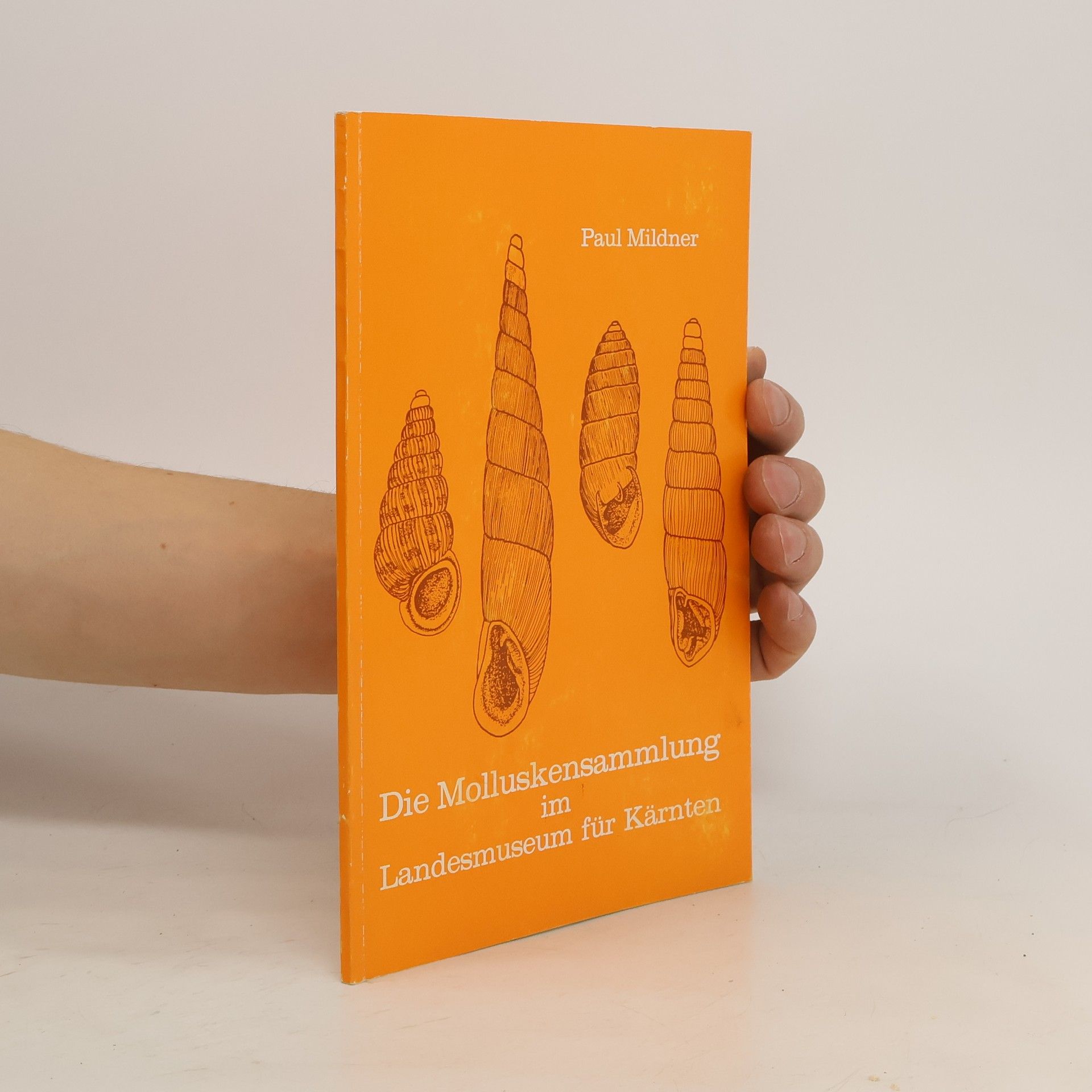 Die Molluskensammlung im Landesmuseum für Kärnten