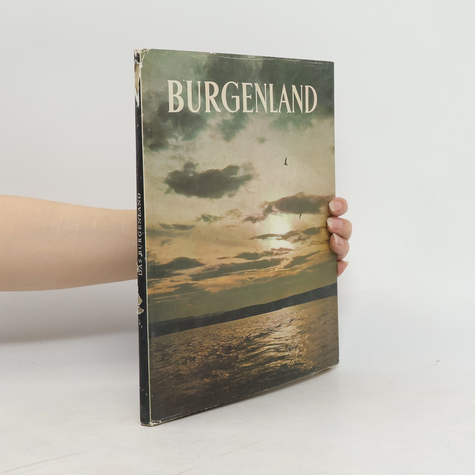 Autorenkollektiv Burgenland