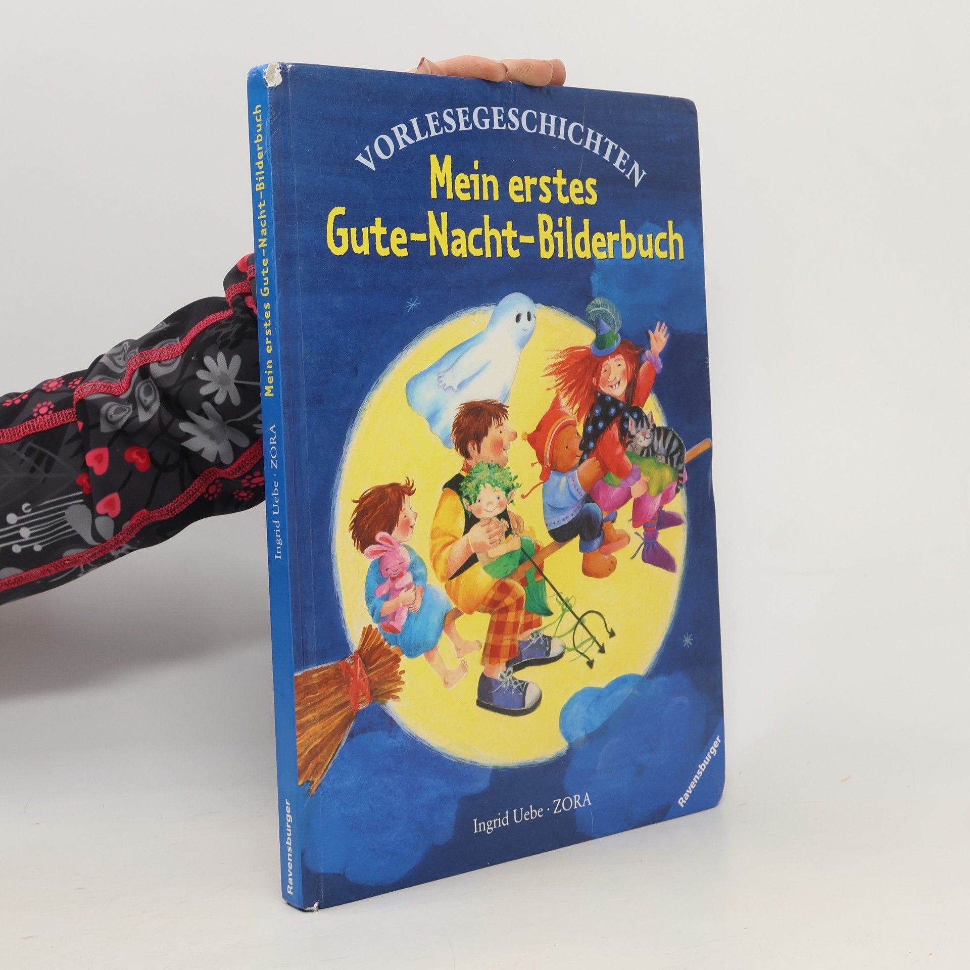 Ingrid Uebe Mein erstes Gute-Nacht-Bilderbuch