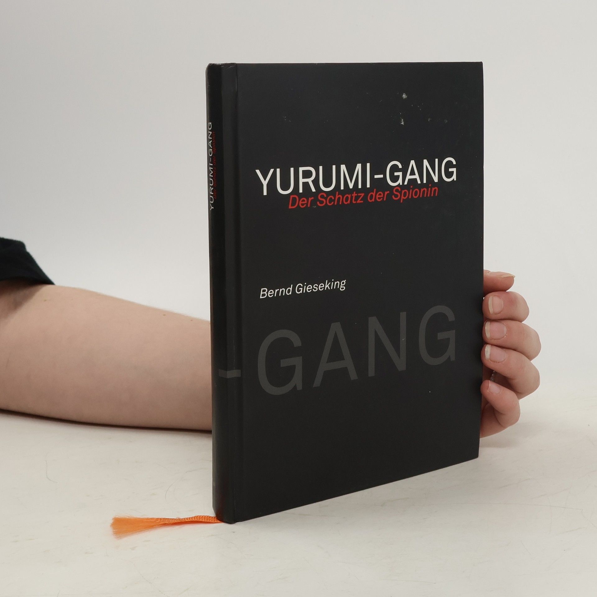 Bernd Gieseking Der Schatz der Spionin. Yurumi-Gang Band 2