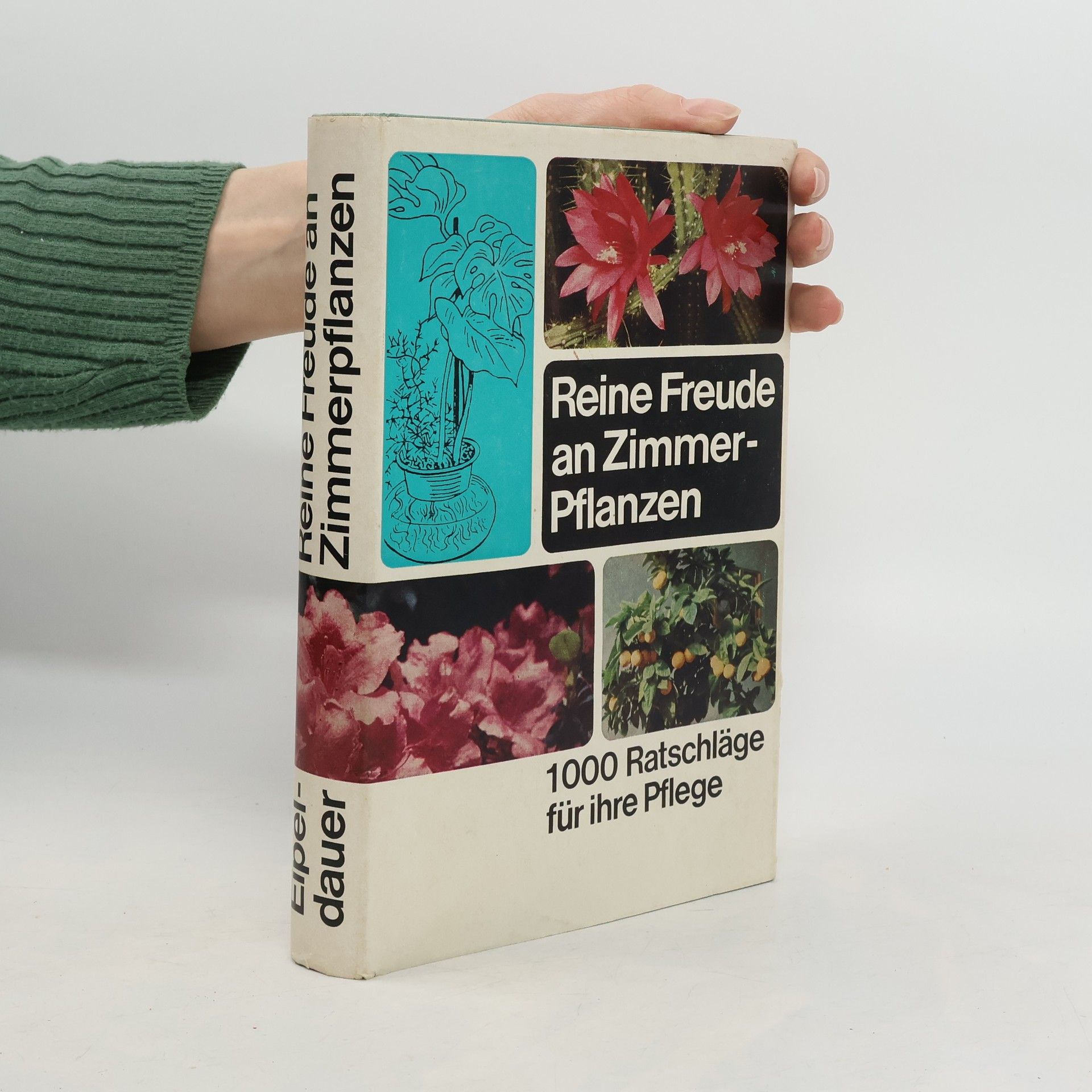 Antonia Enzenhofer Reine Freude an Zimmer- Pflanzen