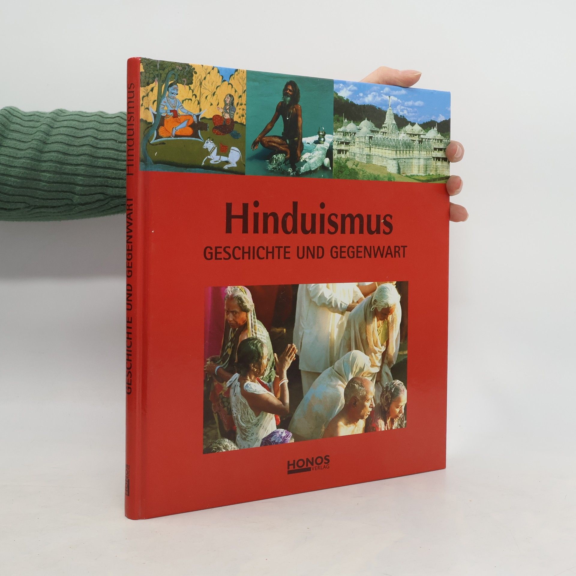 kolektiv Hinduismus. Geschichte und Gegenwart