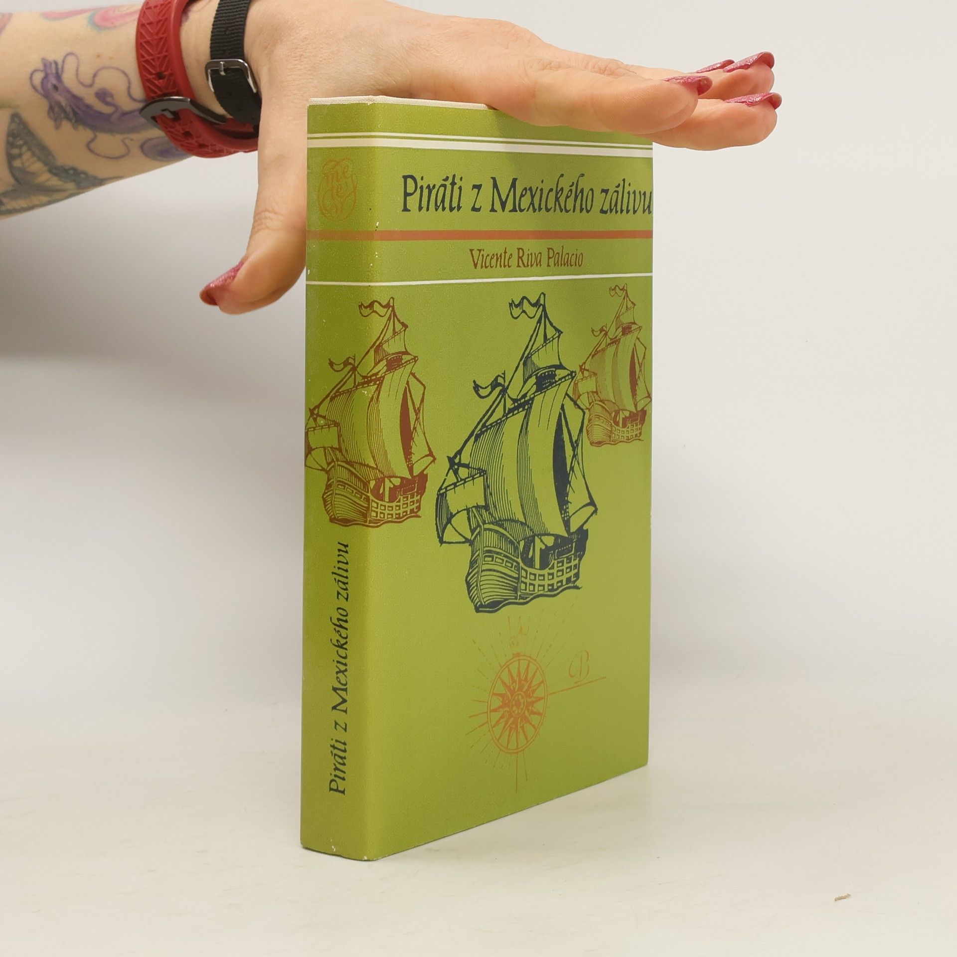 Vicente Riva Palacio Piráti z Mexického zálivu