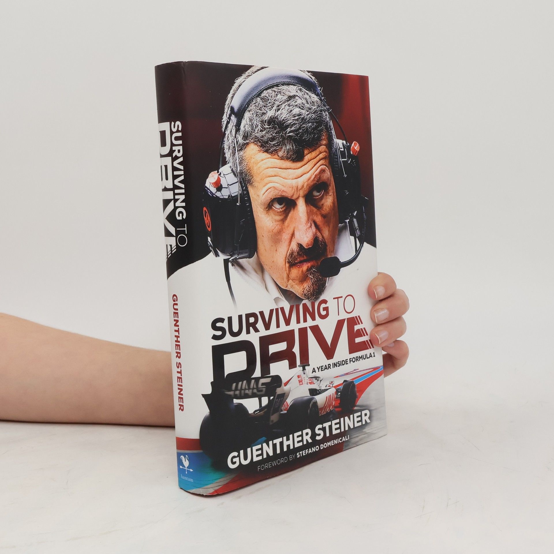 Guenther Steiner Surviving to Drive