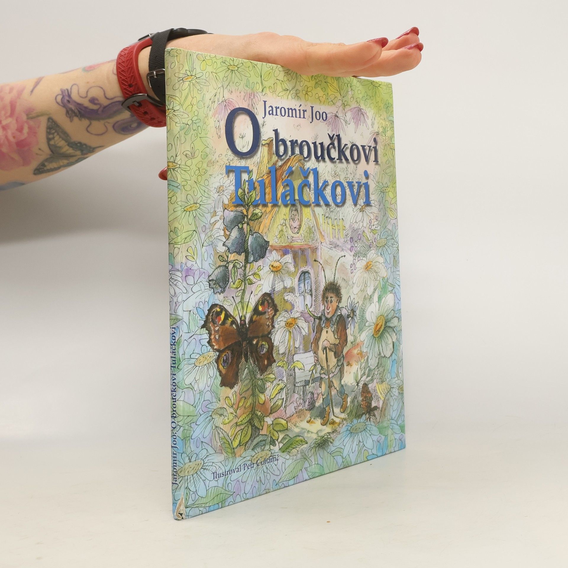Jaromír Joo O broučkovi Tuláčkovi