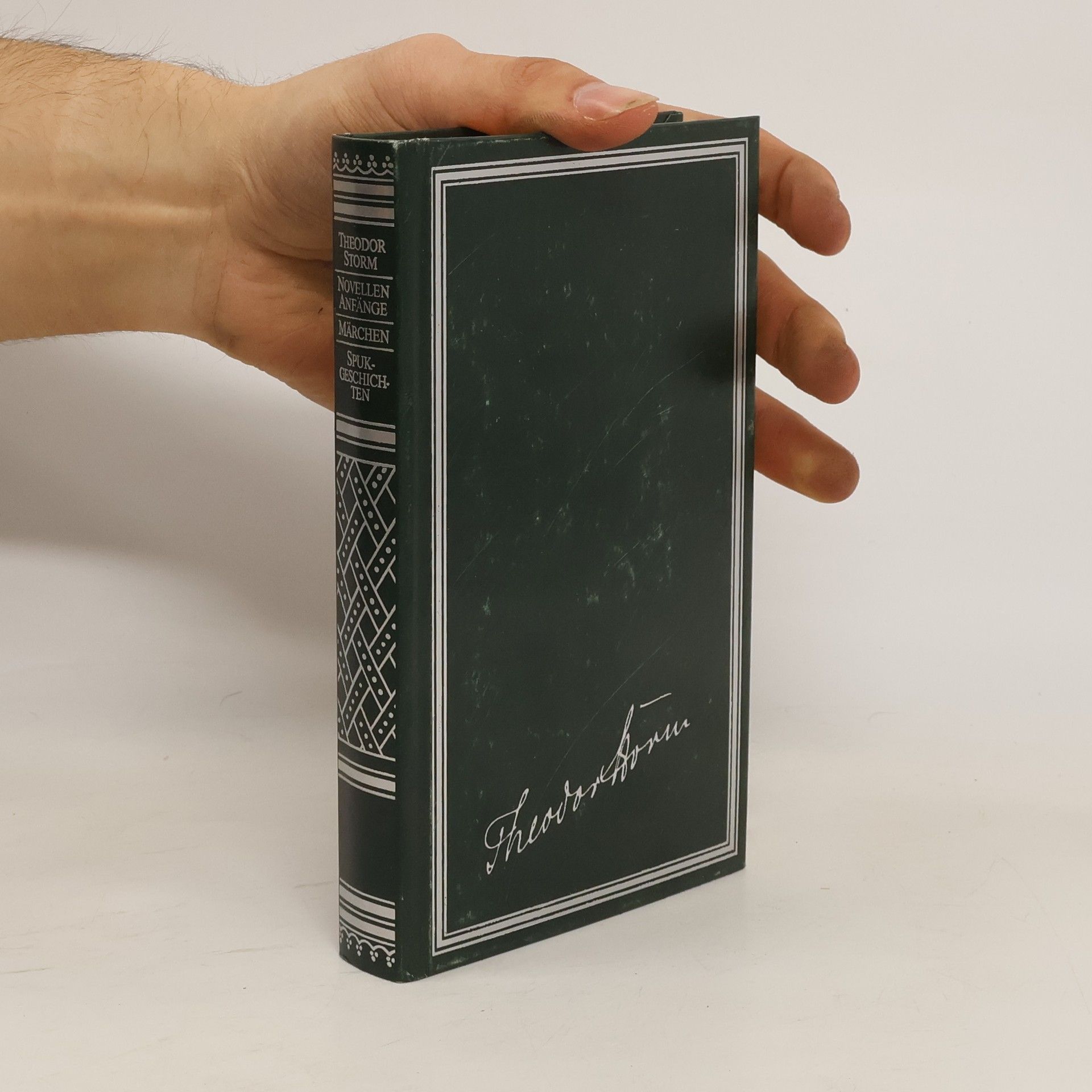 Theodor Storm Novellen Anfänge. Märchen. Spuk-Geschichten