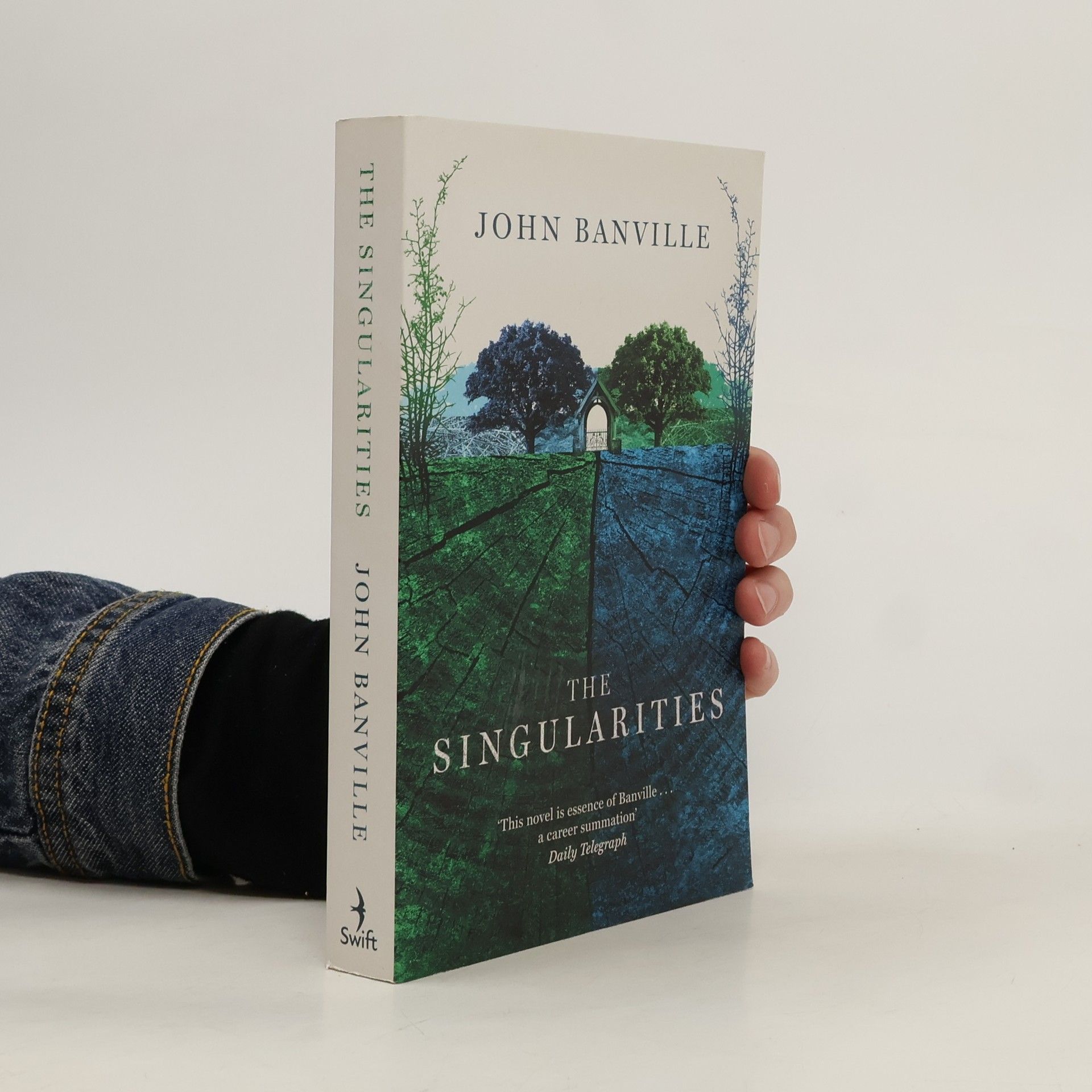 John Banville The Singularities