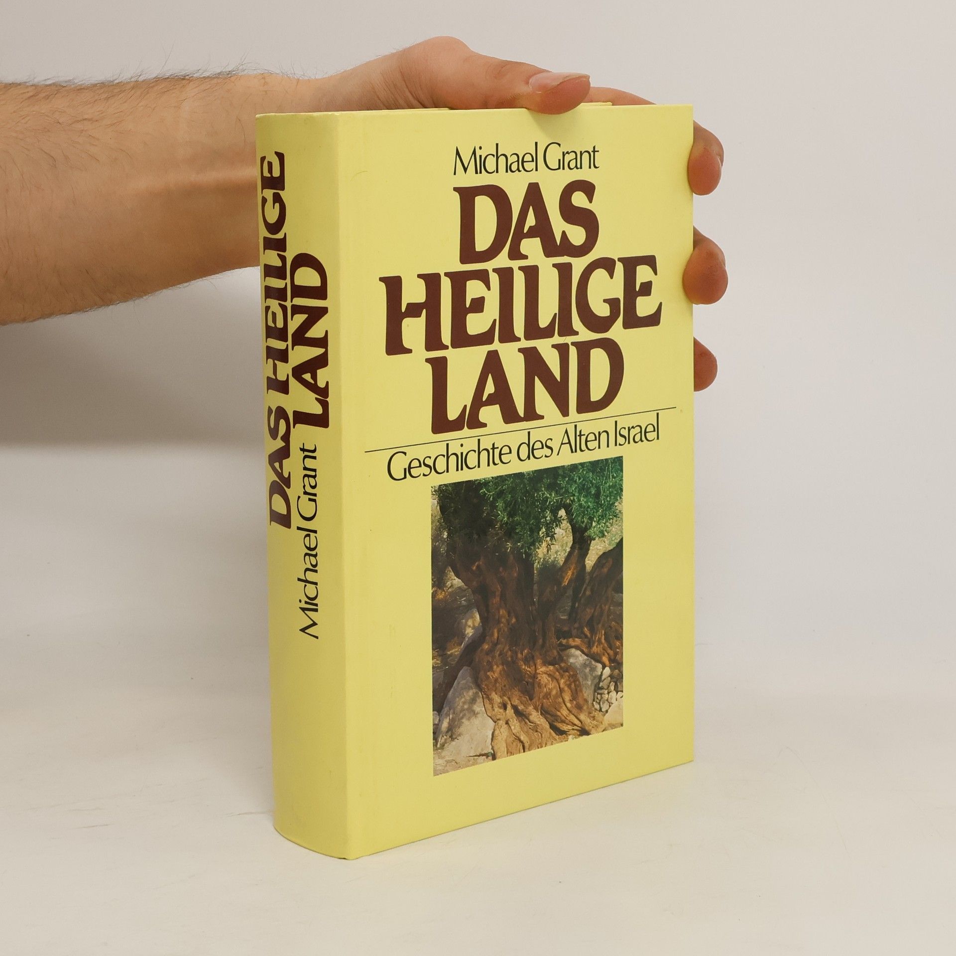 Michael Grant Das Heilige Land