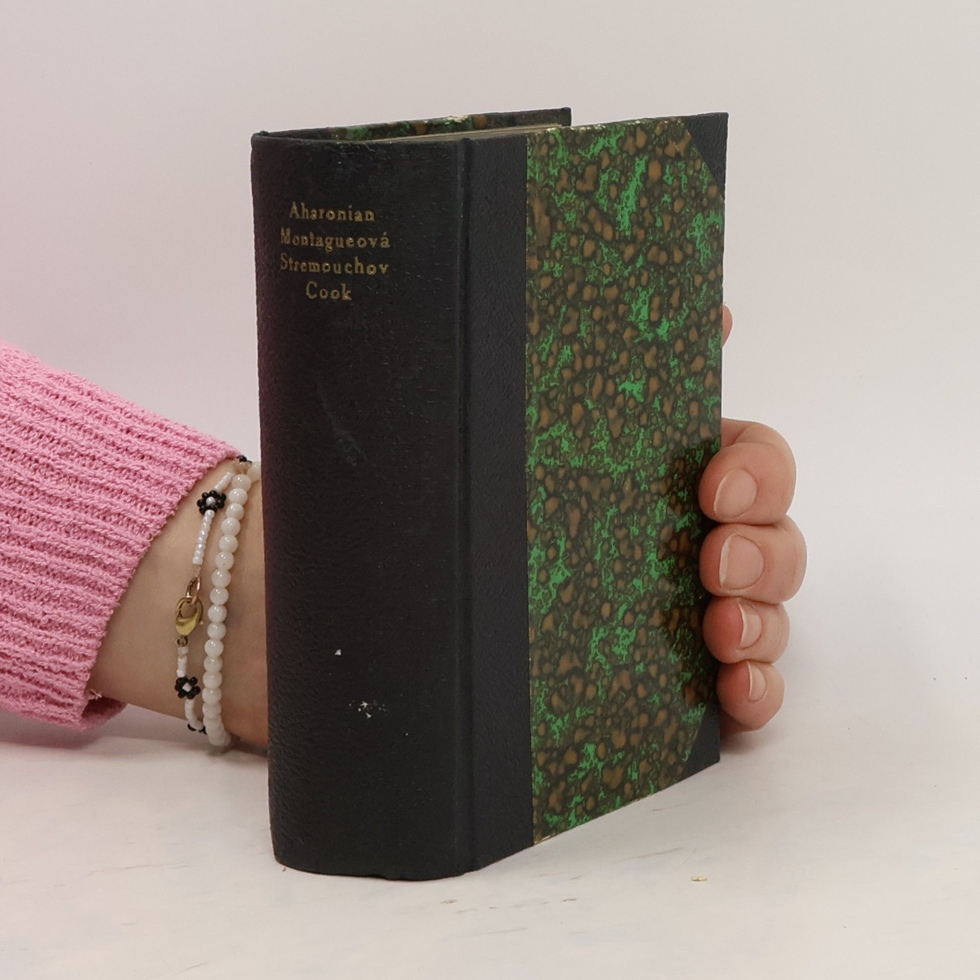 Avétis Aharonean Obrázky z tureckého Arménska