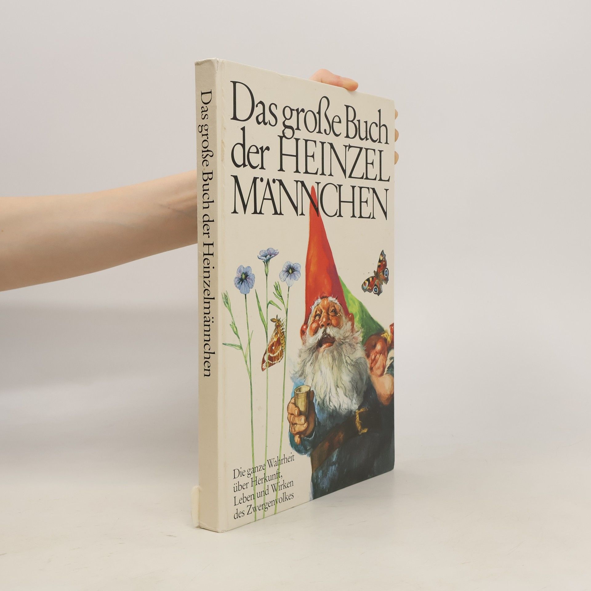 Collectif d'auteurs Das große Buch der Heinzelmännchen