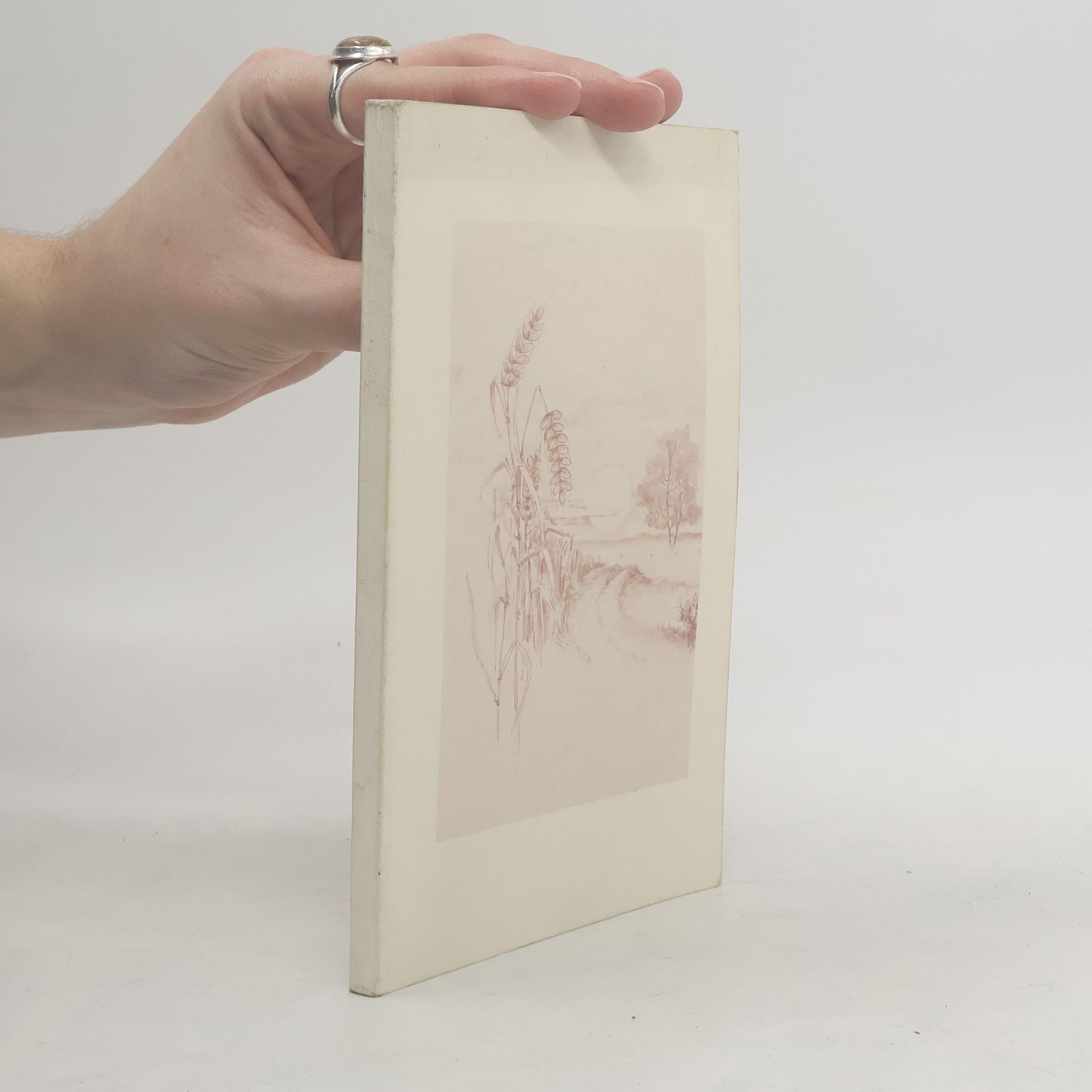 Autorenkollektiv Selbsterlösung durch Medikamente