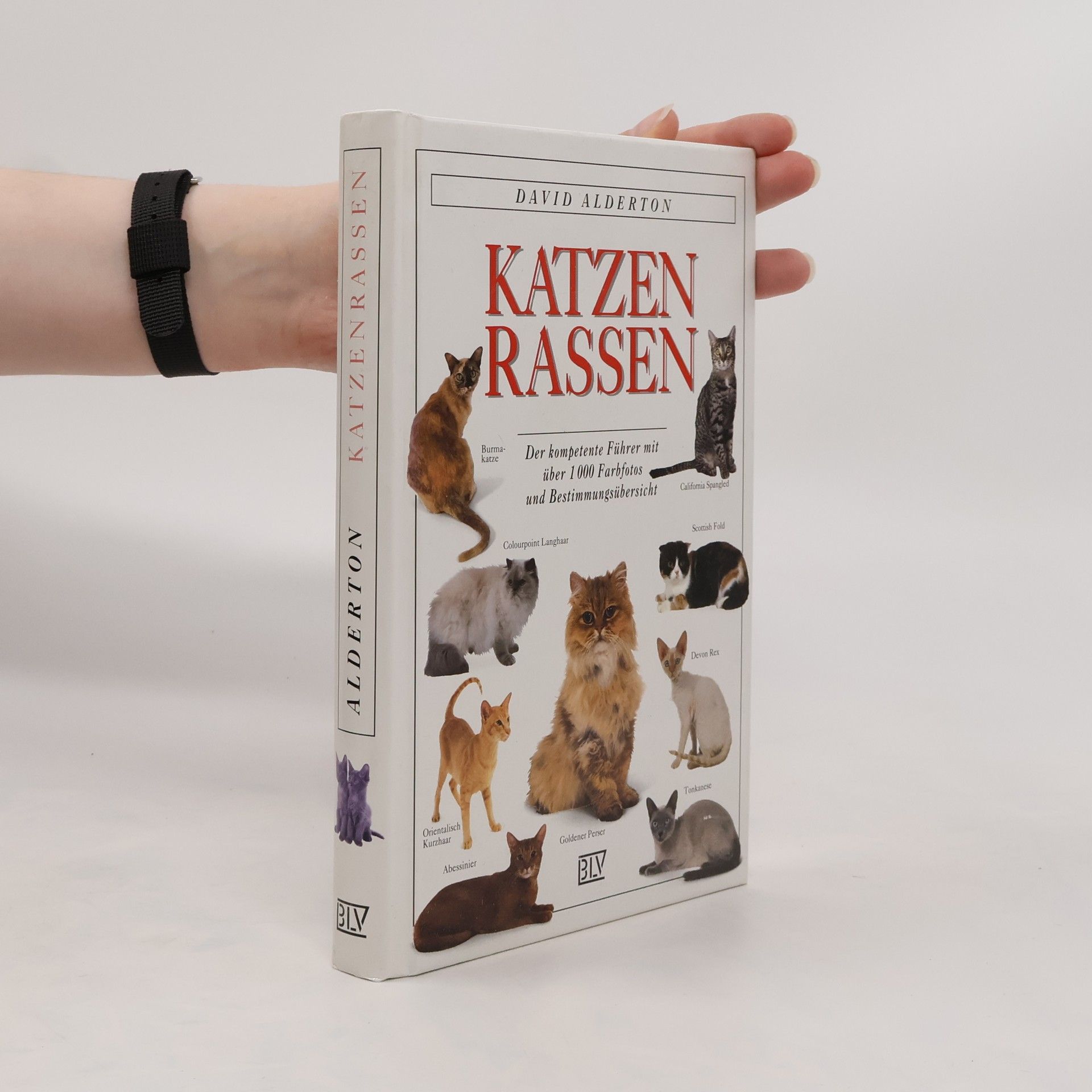 David Alderton Katzen-Rassen